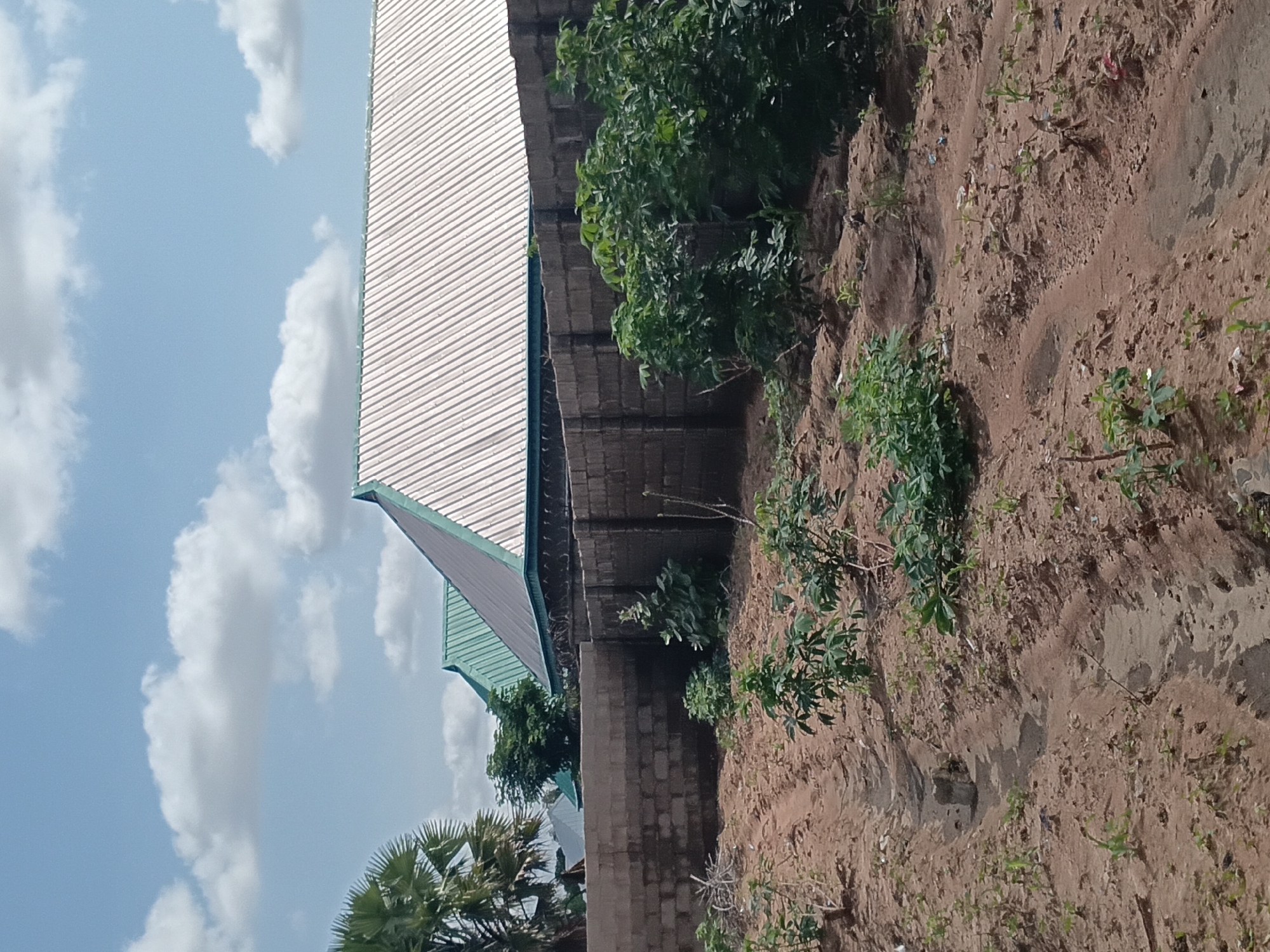 The image depicts an outdoor scene in the city of Jalingo, Nigeria, under a bright, partly cloudy sky. The foreground is a dirt field with rows of small green plants, likely a farm. A narrow dirt path runs through the field. Behind the field, a grey brick wall topped with barbed wire forms a boundary. Beyond the wall, there are buildings with distinctive sloped, corrugated metal roofs, one in a silver color and others in green. A palm tree is visible on the far left, with its fronds fanning out against the sky. The overall impression is of a rural or semi-urban area in Jalingo.