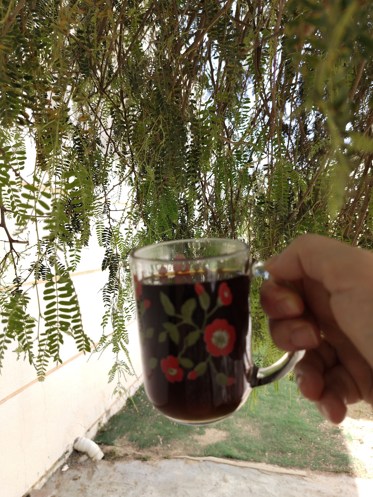 A hand holds a glass mug filled with a dark liquid, possibly coffee or tea, in an outdoor setting. The mug has a floral design with red flowers and green leaves. The background shows a building with light-colored walls and lush green foliage from a tree with small, compound leaves. The image may have been taken in Al Mas'oudi, United Arab Emirates.