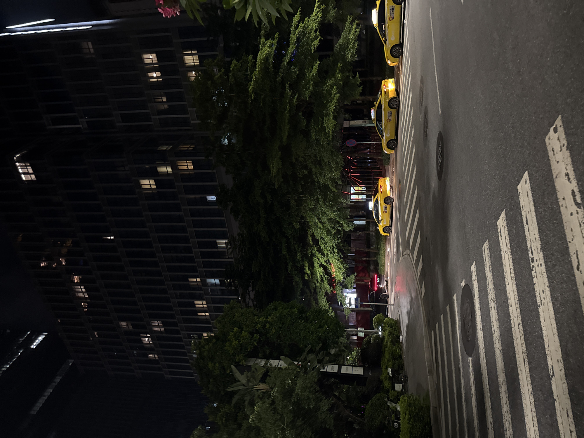 The image depicts a nighttime scene on a wet street in Haizhu District, China. The foreground is dominated by a pedestrian crossing with white stripes. Beyond the crossing, several yellow taxis are lined up on the right side of the road. The taxis appear to be parked or waiting.
On the left side of the image, a tall, modern building with many illuminated windows rises into the darkness. The windows are rectangular and arranged in a grid pattern, suggesting an office building or residential apartments. Lush green trees and foliage are visible between the building and the road, adding a natural element to the urban setting.
The time of day is clearly night, as indicated by the dark sky and artificial lighting from the building and the taxi headlights. The wetness of the street suggests recent rain or damp conditions. There is no visible activity of people, but the parked taxis imply a waiting or resting period.
Some text is visible on the yellow taxis. On the side of one taxi, the word "TAXI" is clearly legible, and another Chinese character appears below it. The overall impression is one of a quiet urban night, with the city lights reflecting on the wet pavement and the illuminated building standing as a prominent landmark. The scene conveys a sense of calm and order in the urban environment.