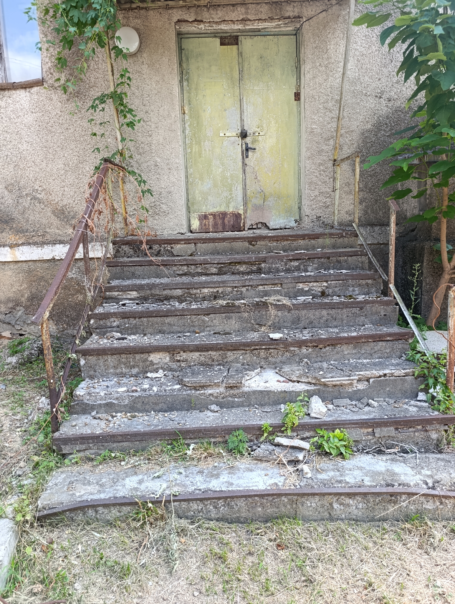 The image shows a dilapidated concrete staircase leading to a weathered, pale green double door. The staircase is in poor condition, with broken concrete chunks and visible metal reinforcement bars along the edges of each step. Rusty metal railings, partially overgrown with dry vines, flank the stairs. The building facade behind the door is rough concrete. Vegetation, including grass and a small tree with green leaves, grows around the base and sides of the stairs, suggesting neglect. The scene appears to be outdoors, possibly in an abandoned or disused area of Dubăsari town council, Moldova. There are no people visible in the image.