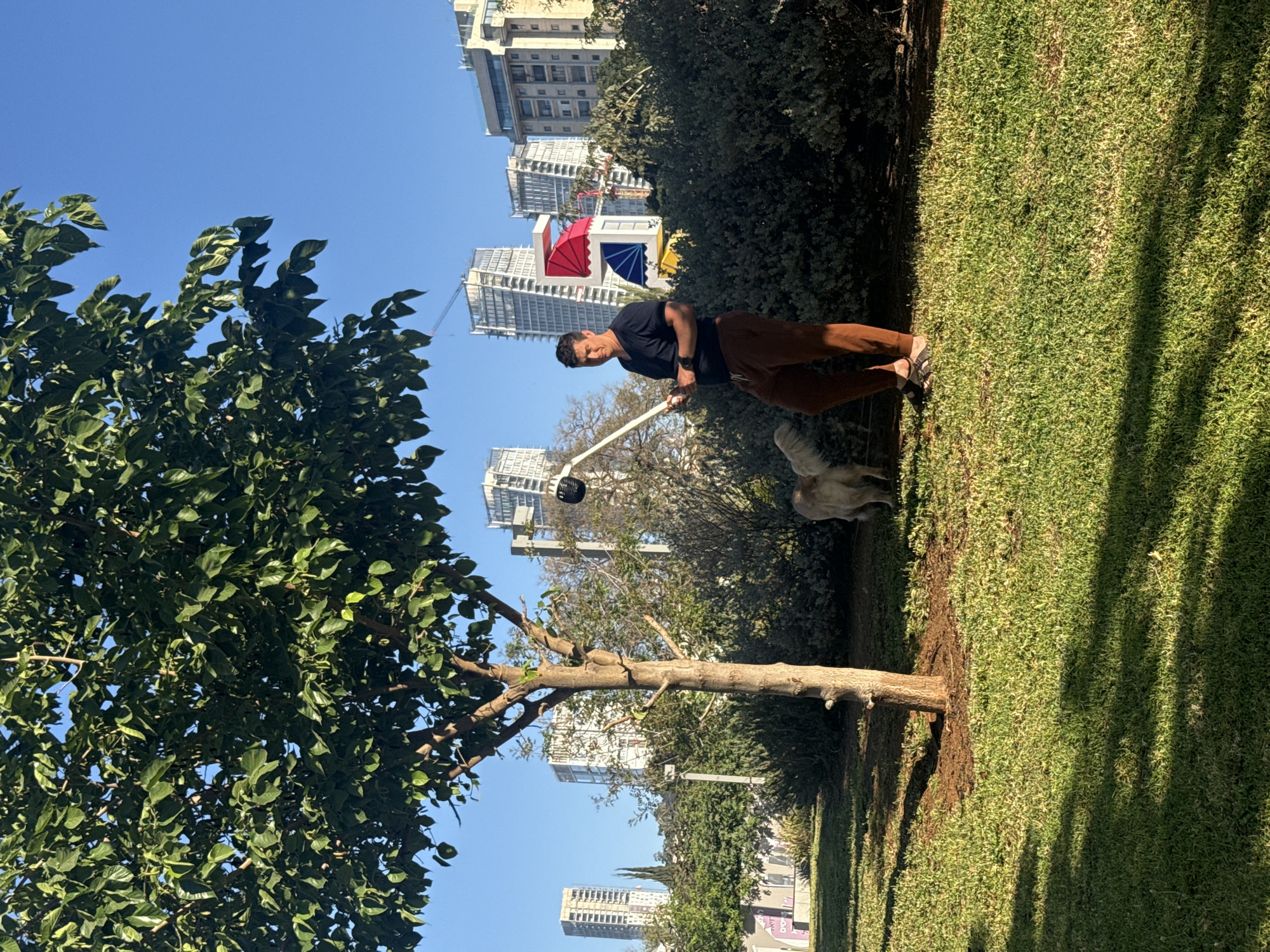The scene is a photograph taken outdoors in a grassy area of Tel Aviv, Israel, with modern buildings visible in the background. A mature tree, with a thick trunk and full green foliage, dominates the left side of the frame. To the right of the tree, a man stands on the grass. He is wearing a dark-colored T-shirt, brown pants, and sandals. He is holding a long, white pole with a black circular object at the end. Adjacent to him is what appears to be a sculpture or a white dog. The background features several tall, modern buildings, some with distinctive architectural features like colorful awnings. The sky is clear and blue.