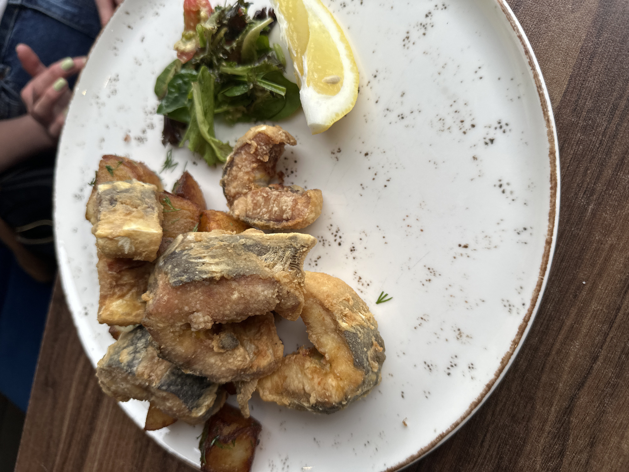 A close-up shot depicts a white plate with a speckled design, containing fried fish, salad, and a lemon wedge. The fish appears to be cut into chunks and has a golden-brown crispy exterior. A small portion of green salad with a slice of tomato sits next to the lemon wedge. The plate rests on a wooden surface. Part of a person wearing jeans is visible in the top left corner, with a hand displaying green nail polish. Based on the prompt's reference to Vidin, Bulgaria, it is implied this food was served in this location.