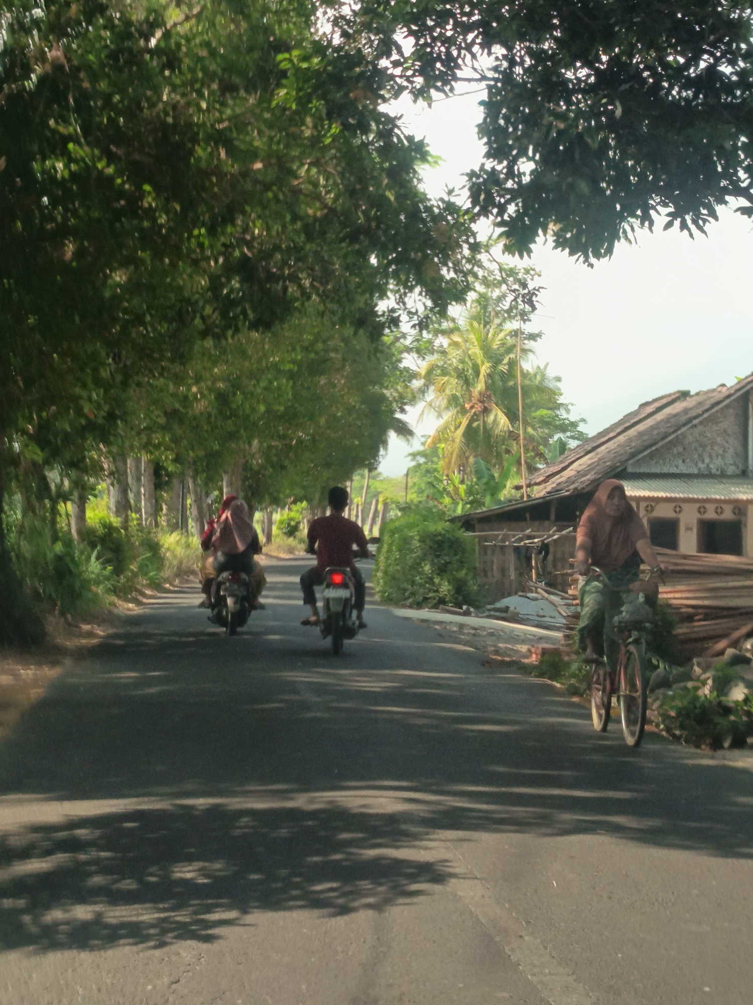 On a paved road in Banyuputih Kidul, Indonesia, a man is riding a motorcycle from left to right in the frame, wearing a maroon shirt and dark pants. Behind him, another motorcycle is traveling in the same direction with two individuals; the person in the front is wearing a dark shirt and the person in the rear is wearing a reddish-brown hijab and a light-colored top. To the right of the road, a woman wearing a brown hijab and green pants is riding a bicycle, also heading right. A traditional Indonesian house with a thatched roof is visible behind her. The road is lined with trees, casting shadows on the asphalt. The scene appears to be during the daytime under a bright sky.