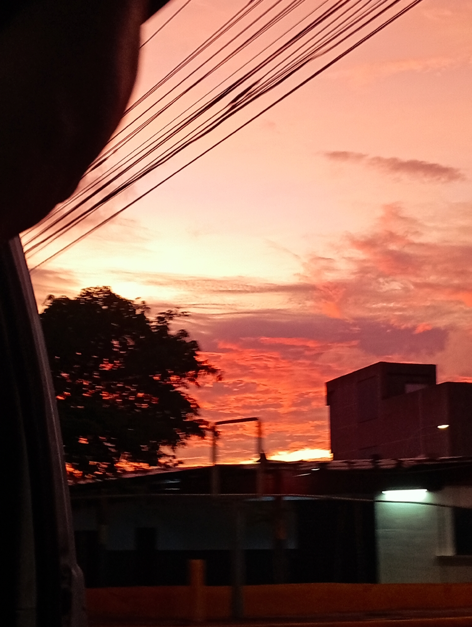 The image captures a vibrant sunset scene over the city of Altagracia, Venezuela. The sky is awash in hues of orange, pink, and yellow, with dramatic clouds painted across the horizon. In the foreground, a silhouette of a person is visible on the left, partially obscuring a cluster of power lines that stretch diagonally across the upper portion of the frame. To the right of the frame, two buildings are visible. The larger building on the right is dark and rectangular, with some windows. A smaller, lighter colored structure with a glowing light fixture is visible below and to the right of the larger building. A silhouette of a large tree with dark foliage is prominent in the mid-ground, silhouetted against the colorful sky. Below the tree and buildings, a dark foreground suggests a street level view, with hints of yellow and orange markings. The overall impression is a dynamic urban landscape at dusk.