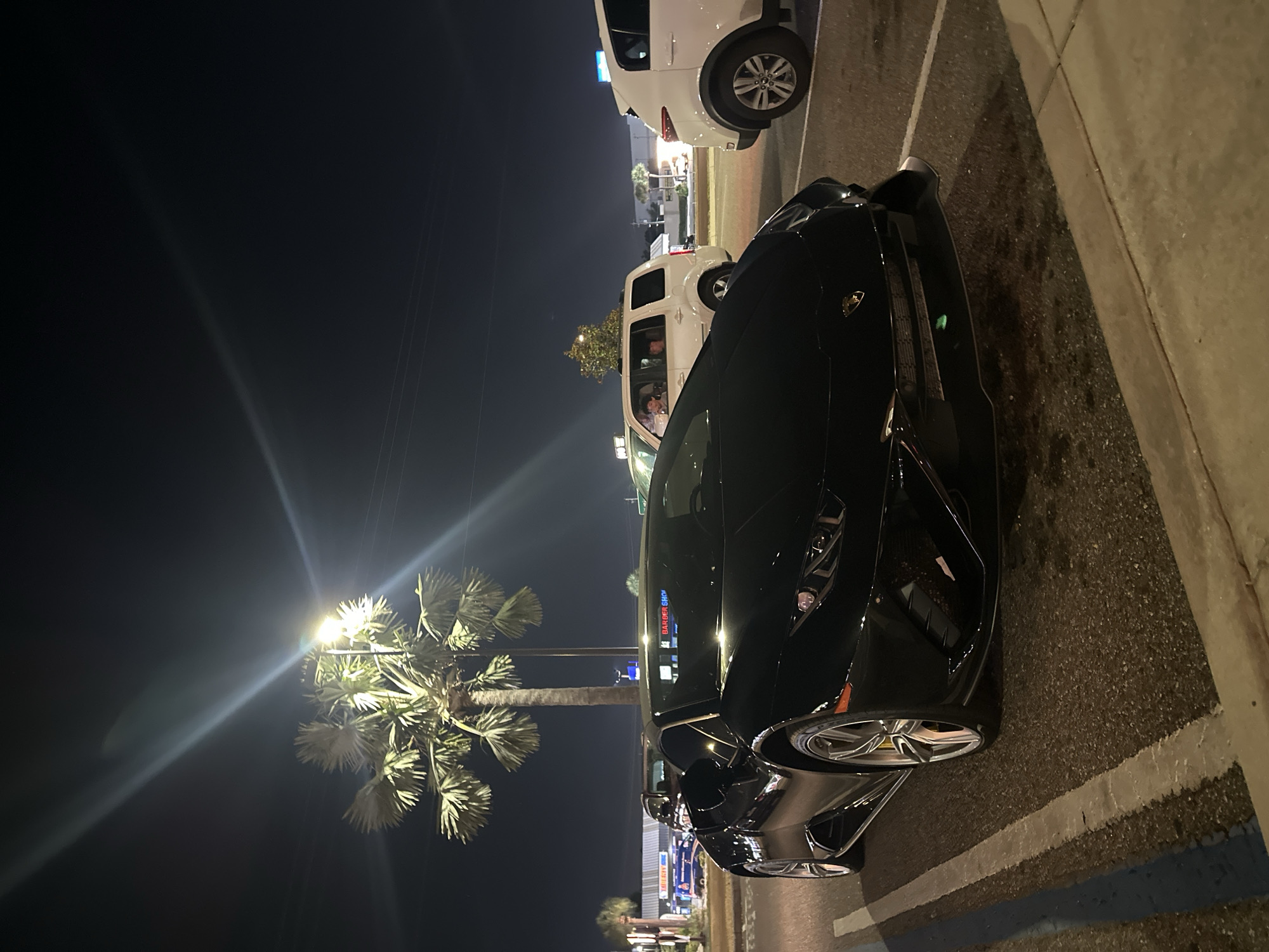 The image captures a nighttime scene in Tampa, Florida, showcasing a black Lamborghini parked adjacent to a curb alongside other parked vehicles. A palm tree illuminated by a nearby streetlight stands to the left of the Lamborghini. Several business signs are visible in the background, reflecting the setting is a commercial area. The photograph exhibits a slight tilt.