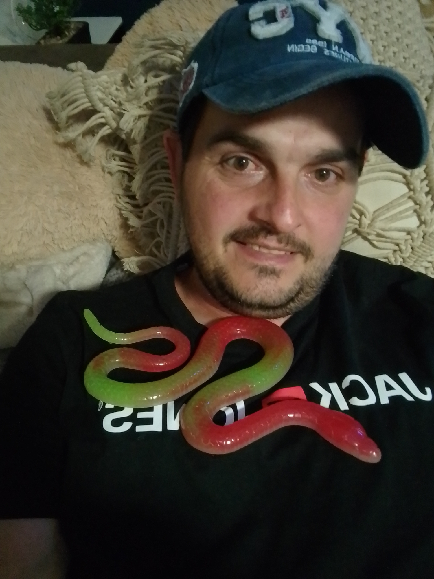 The media file shows a close-up, front-facing selfie of a man wearing a dark t-shirt and a blue baseball cap. He has light brown eyes, a mustache, and a goatee. His facial expression is neutral. A brightly colored, translucent gummy snake, predominantly red with green segments, is draped across his chest and neck. The snake appears to be a novelty item.
The man is seated on a beige, textured couch or blanket, and in the background, another textured surface, possibly a woven throw or wall hanging, is visible. To the far left, a glimpse of a small green plant in a glass container can be seen.
The t-shirt the man is wearing has white text printed on it. Partially visible are the letters "JACK" and "23" in a stylized font. The baseball cap also has white lettering on the front, though it is partially obscured and reversed due to the selfie perspective.
The lighting suggests it is daytime or an indoor setting with artificial lighting. There are no obvious cues about the weather or specific time of day beyond that. The overall mood appears casual and lighthearted, suggested by the playful placement of the gummy snake. The location context provided is Wedel, Germany, but there are no explicit visual indicators in the image to confirm this.
