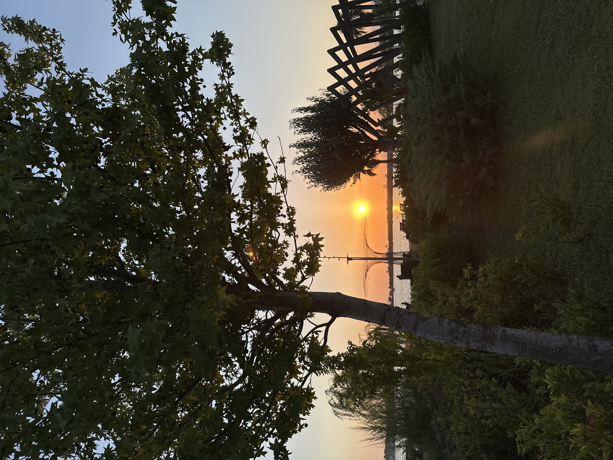 This is a vertical, eye-level, medium shot of a park with a tree in the foreground during sunset. The tree, in the left foreground, has a thick, textured trunk and is covered with lush green leaves, some of which are backlit by the sun. The sun, a bright orange orb, is setting over a body of water in the middle ground, casting a warm glow across the sky.
In the background, there is a treeline with various plants and trees, and a dark, geometric structure. The body of water appears to be a bay or inlet, with a few distant boats and figures visible along the shore. The overall scene is serene and natural, with a hint of urban development in the background. The setting is consistent with the waterfront parks found in Fethiye, Turkey, a popular tourist destination known for its beautiful coastline and natural scenery.