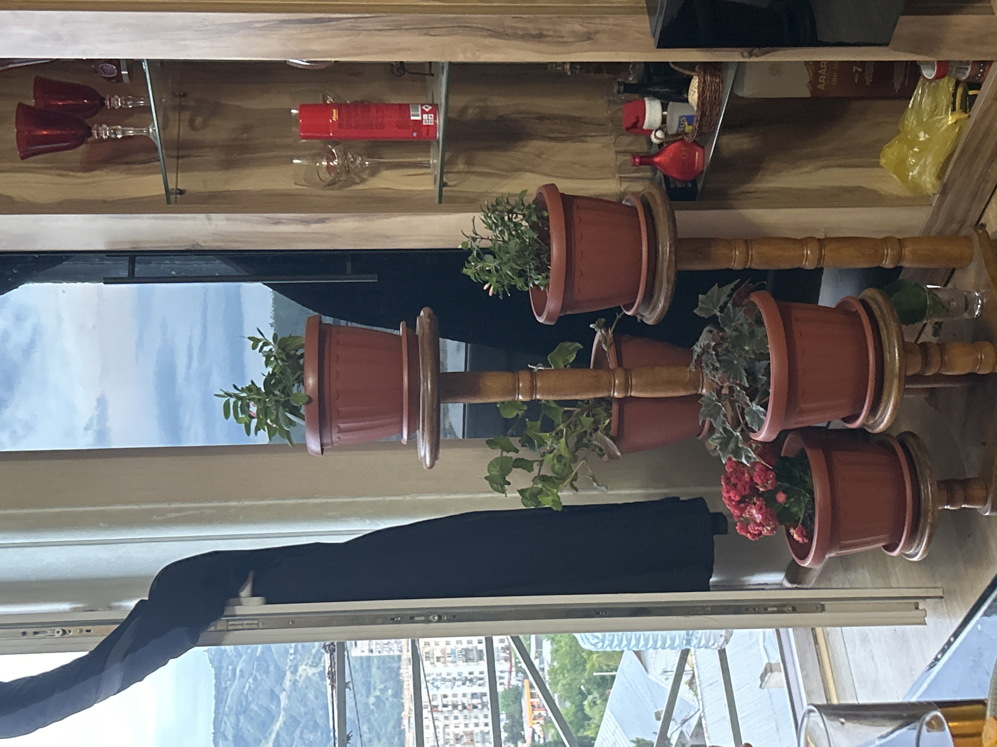 A medium indoor shot shows a wooden shelf with plants, glassware, and other objects, with a view from an open window of what appears to be the city of Tbilisi, Georgia.
The wooden shelf has glassware and what appears to be alcohol bottles. Below this, a shelf holds four potted plants of different types, with what appears to be a decorative wooden rod connecting them. Below these pots, a dark blue or black material rests on the window frame. Through the open window is a cityscape with mountains in the distance. The buildings appear to be residential, interspersed with green trees. A metal structure is visible, possibly part of a building or bridge. The sky above is a light blue, suggesting a clear day.