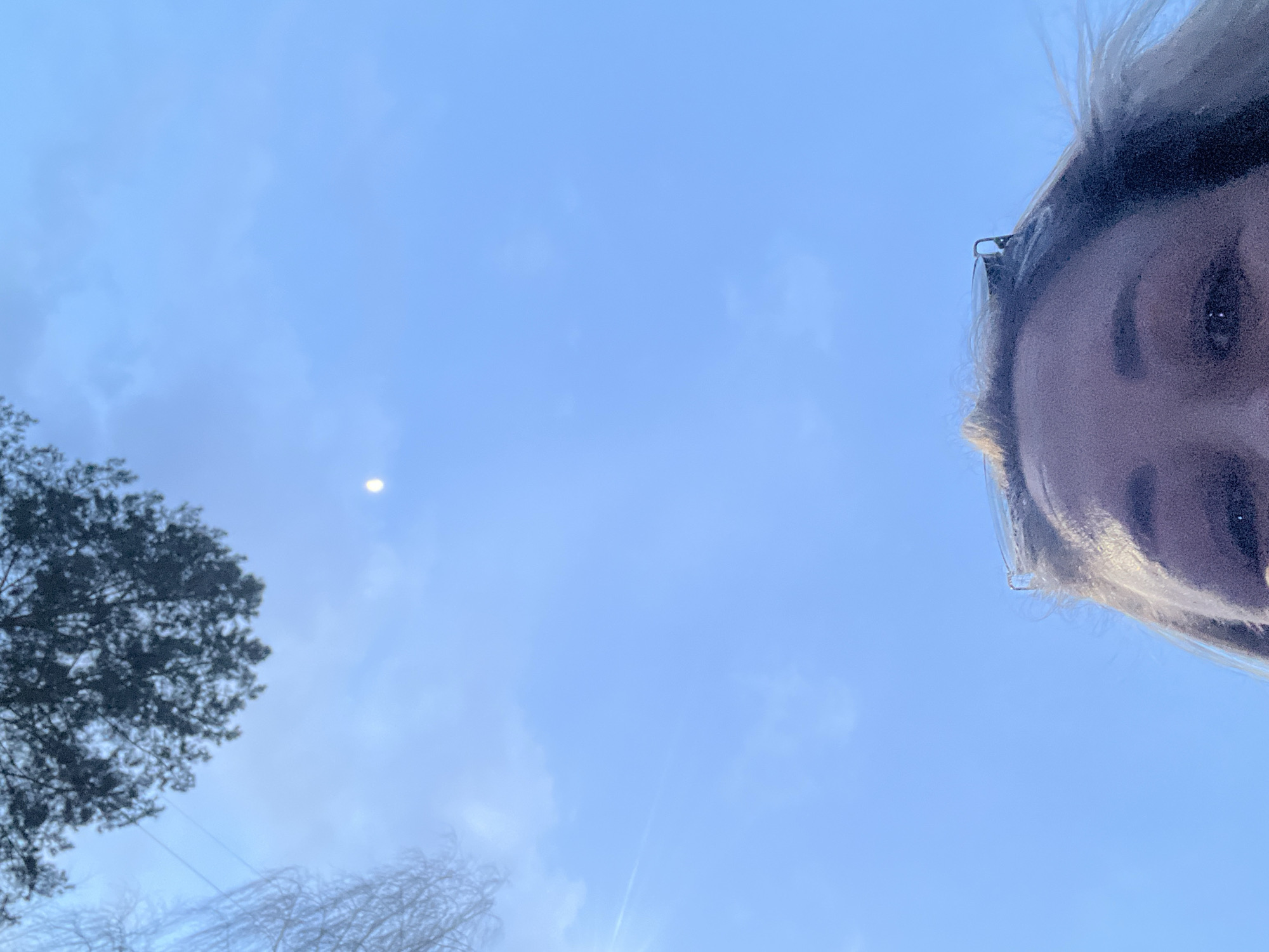 An upward-facing outdoor selfie captures a person looking up at a partially cloudy blue sky. The right side of a person's face, including one eye and part of the forehead with light hair and glasses, is visible in the top right corner of the frame. The expansive sky dominates the image, featuring a bright, circular celestial object, likely the moon, in the upper-left quadrant. Scattered, diffuse clouds are visible across the sky. In the lower left, dark, silhouetted tree foliage can be seen, while more sparse, possibly bare tree branches extend into the lower-middle section. A subtle lens flare is present towards the bottom right. The cool blue tones of the sky and the visible moon suggest the image was taken during either dawn or dusk in Chaikovsky, Russia. No visible text is present.