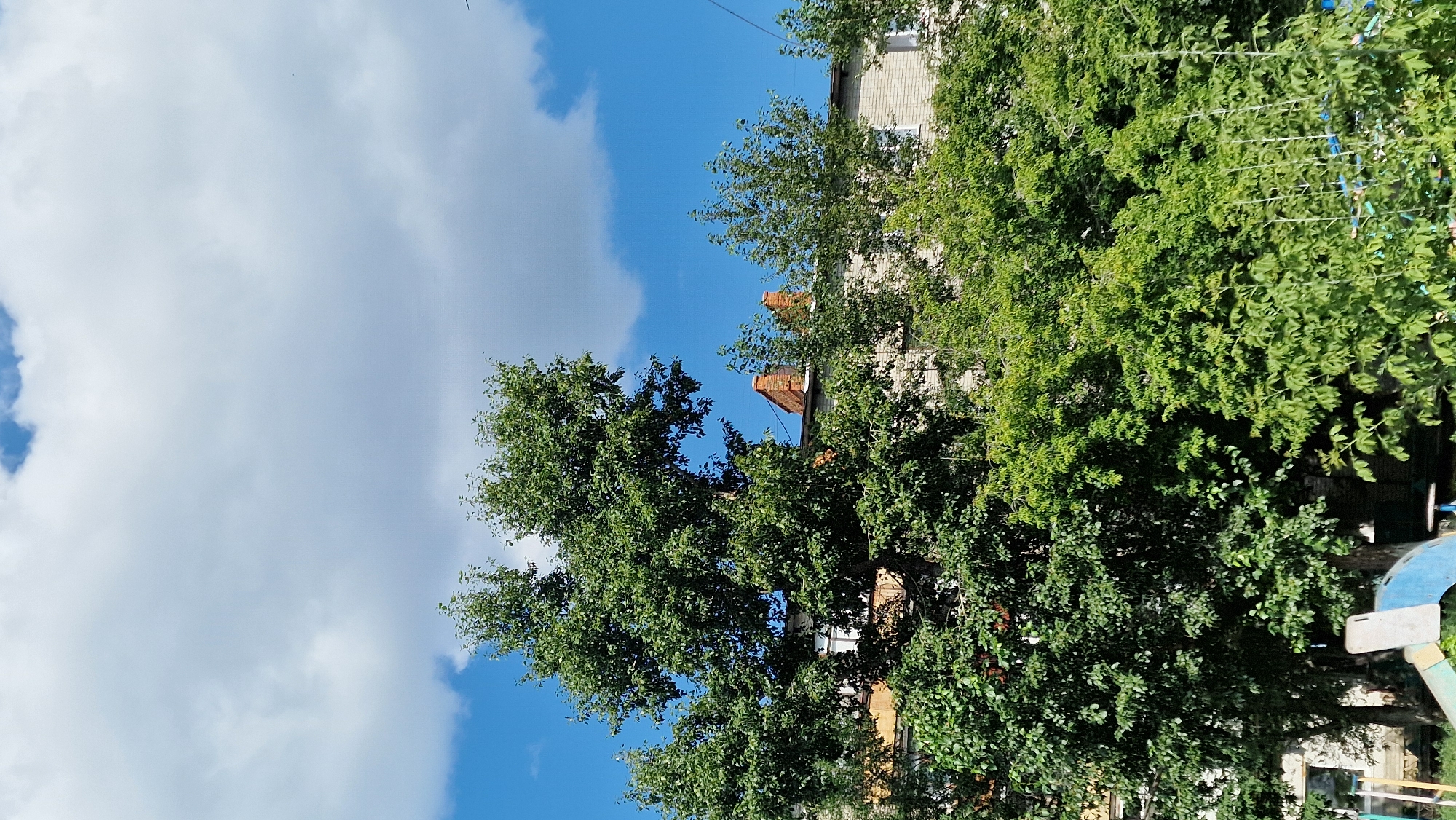 The image shows a multi-story brick building with visible chimneys on the roof, seen from a low angle looking upwards. Lush green trees, some quite tall and dense, obscure parts of the building. The sky is bright blue with scattered white clouds. In the foreground, the top of a blue and white playground structure is visible, suggesting the location is a residential area or park within the city of Kostanay, Kazakhstan. There are no people or animals visible in the frame. The scene depicts a sunny day with vegetation and urban architecture.