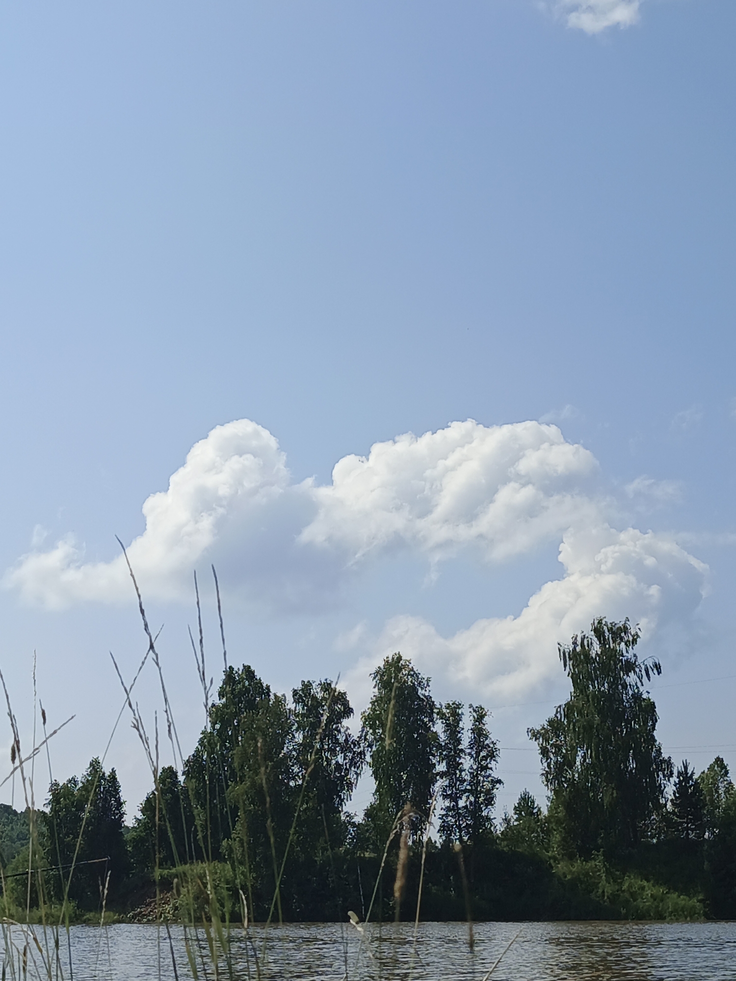 The image depicts a serene natural landscape with a body of water in the foreground, reflecting the sky. Tall grasses and reeds are visible on the banks of the water. Behind the water, a dense line of various trees forms a lush green backdrop, with some trees taller and more prominent than others. The sky above is a clear, pale blue, punctuated by large, fluffy white clouds that are shaped in an interesting, almost heart-like formation. The scene suggests a peaceful, undeveloped natural area, consistent with a rural setting like Urtiushka, Russia. There are no people or animals explicitly visible in the image.