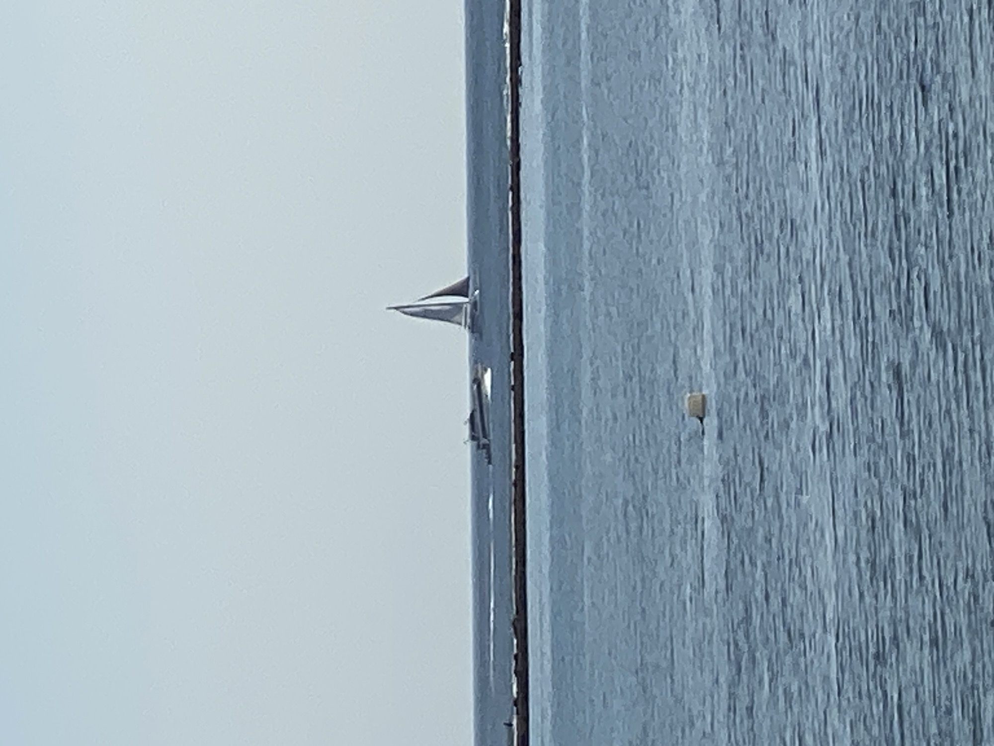 The image captures a serene coastal scene with a body of water, possibly the ocean, in the foreground. A long, dark structure, resembling a pier or a breakwater, stretches horizontally across the mid-ground, separating the calmer water in the foreground from the water beyond. On the far side of this structure, two vessels are visible on the water. To the left, a streamlined, dark-colored boat is in motion, leaving a wake behind it. To the right, a sailboat with two sails is gliding across the water. The sky above is a pale, clear blue, suggesting fair weather. In the middle distance of the foreground water, a small, white, cylindrical object, likely a buoy, floats on the surface. The overall impression is one of peaceful maritime activity under a bright sky. The context of Nusa Penida, Indonesia, implies this could be a view of its coastline.
