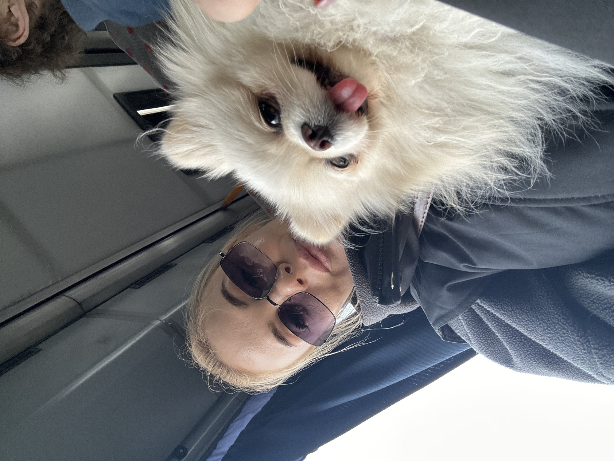 A selfie taken inside a vehicle, possibly a bus or van, showing a fair-skinned woman with blonde hair wearing sunglasses and a dark-colored jacket. A small, fluffy white dog is positioned above her head, with its tongue sticking out. A portion of another person's head with dark, curly hair is visible in the upper left corner. The vehicle's interior is visible, including a gray ceiling and a dark blue or black seat covering. There is no information available in the image to verify that it was taken in Megion, Russia.