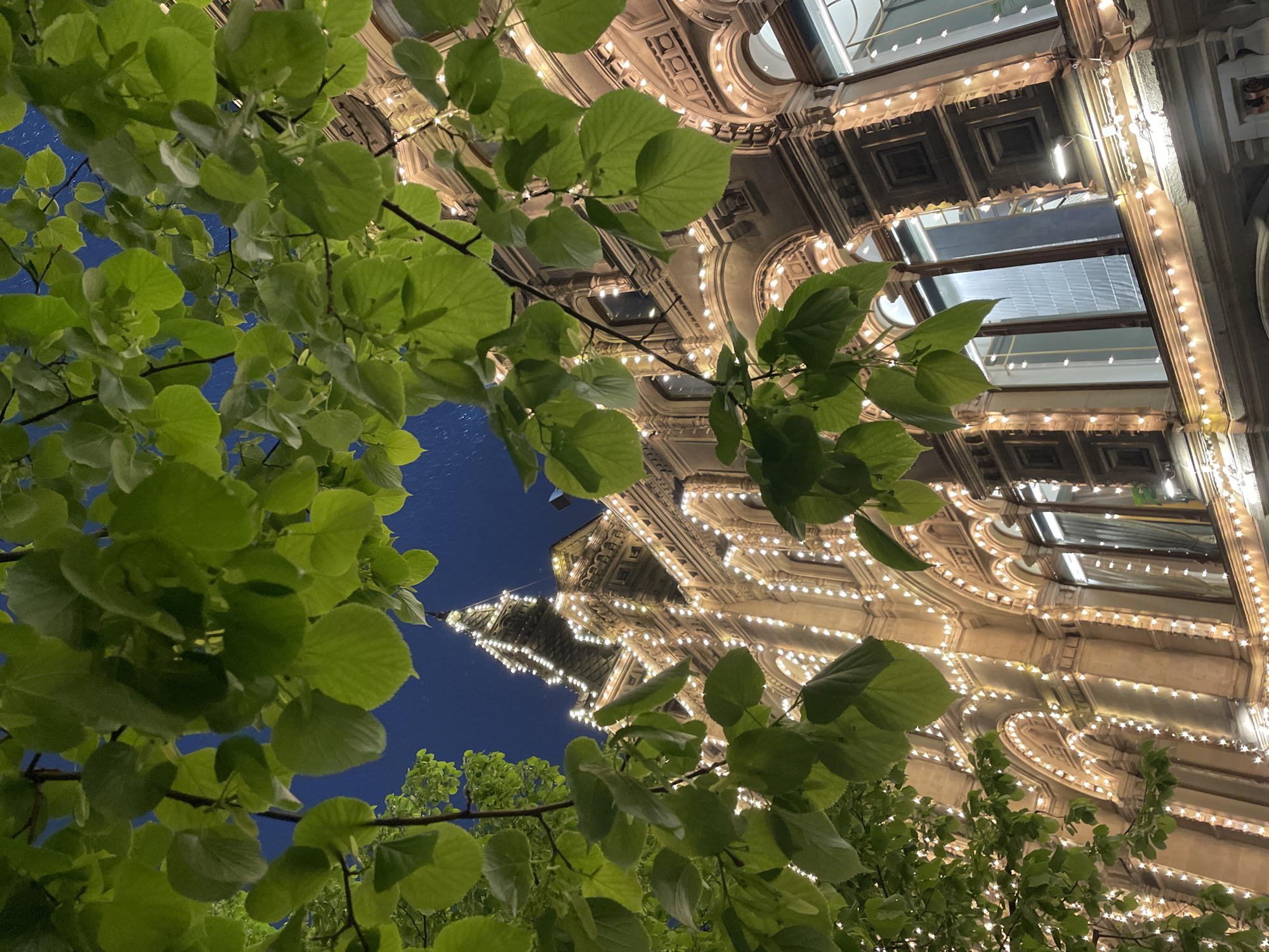 The image depicts a view of a building in Moscow, Russia, framed by green foliage. The building, likely a historic structure, is illuminated with numerous small lights that trace its architectural details. The sky is visible in sections between the leaves and the building. It is nighttime, and the angle of the shot suggests the photograph was taken from ground level, looking upward.
