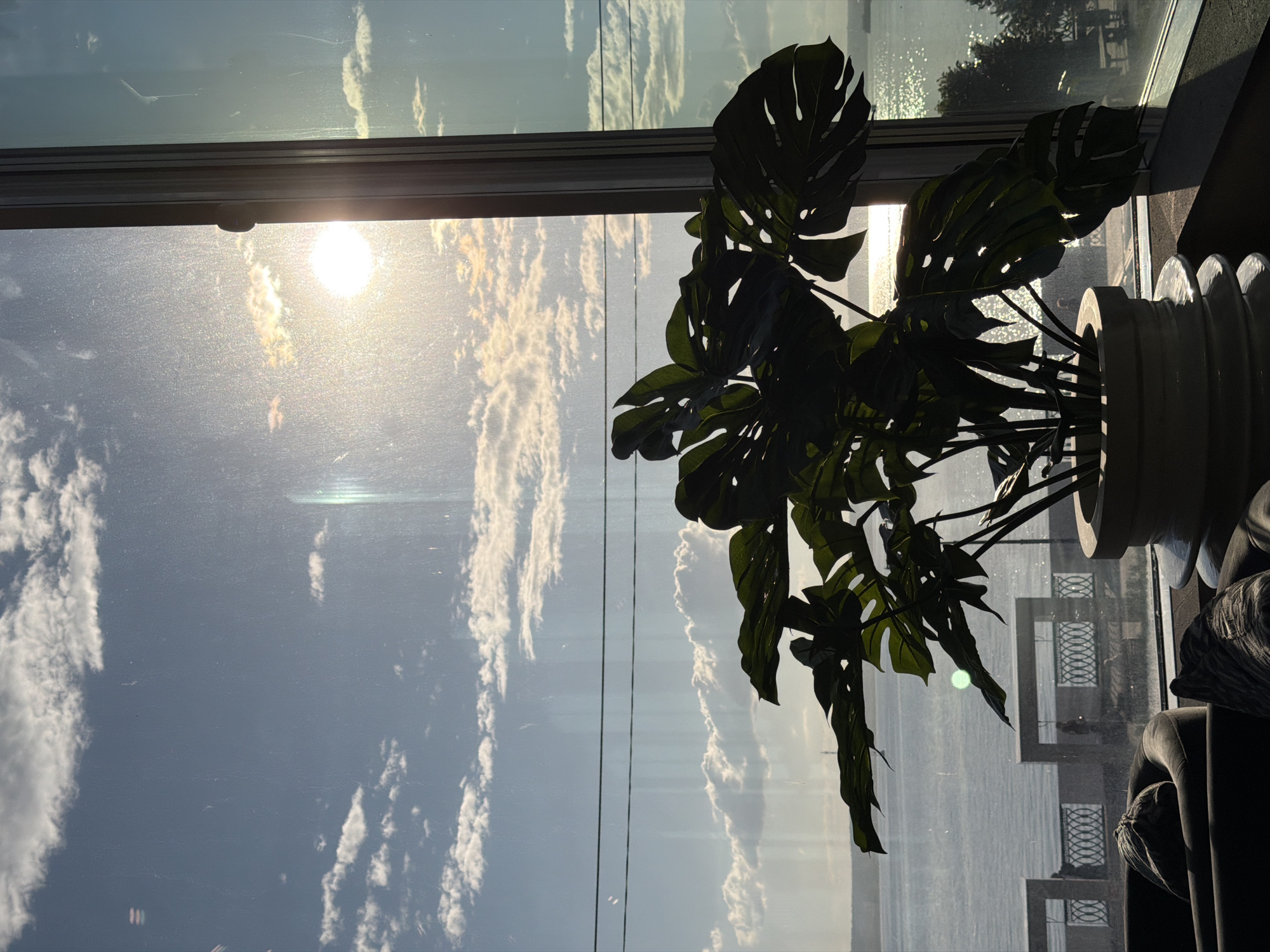 A large potted Monstera plant is positioned in the foreground, silhouetted against a window that looks out onto a body of water, likely the Izh River in Izhevsk, Russia. The sun is bright and low in the sky, casting a strong glare on the window and the water's surface, creating a glittering effect. Clouds are visible in the sky, and there are faint reflections on the glass. In the background, along the riverbank, there are decorative railings and structures, suggesting a public promenade or embankment. The scene is viewed from an interior space, with the corner of a sofa and pillows visible in the bottom left, indicating the vantage point is from a room or building overlooking the river.