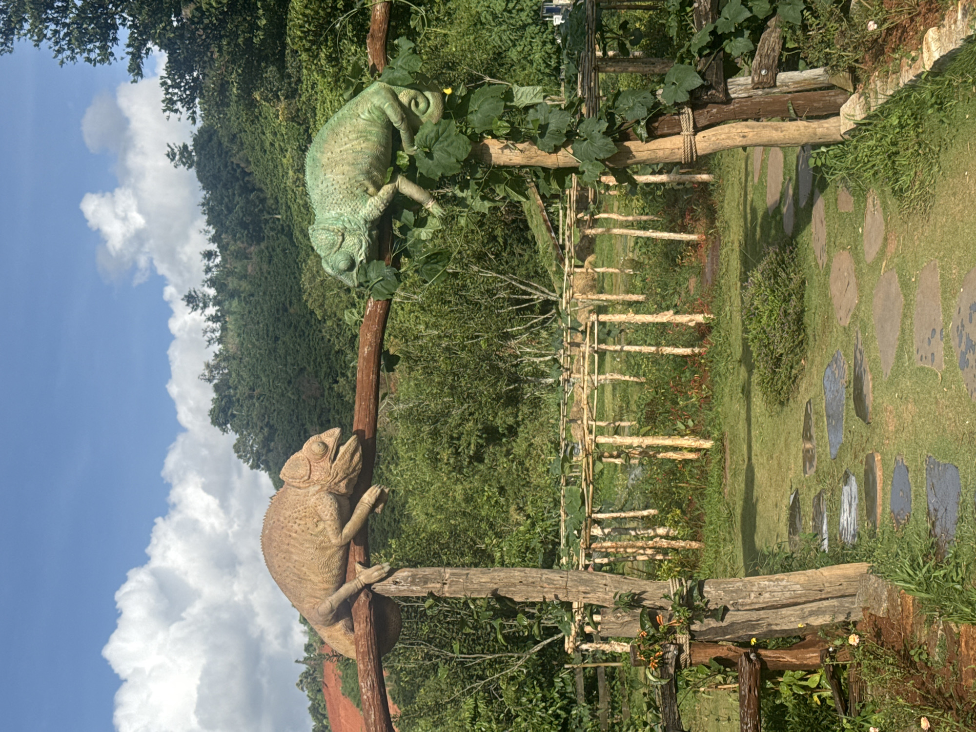 The image depicts an outdoor scene with two large chameleon statues positioned on a wooden beam. The chameleon on the left is a sandy brown color, while the one on the right is a vibrant green. They are situated above an arched wooden entryway, which leads to a garden path made of flat stones. The garden is lush with green grass, trees, and plants, suggesting a natural or park-like setting. In the background, a hillside covered with dense green foliage rises under a bright blue sky with scattered white clouds. The overall impression is a tranquil and decorative garden environment. The location is identified as Thôn 1, Vietnam.