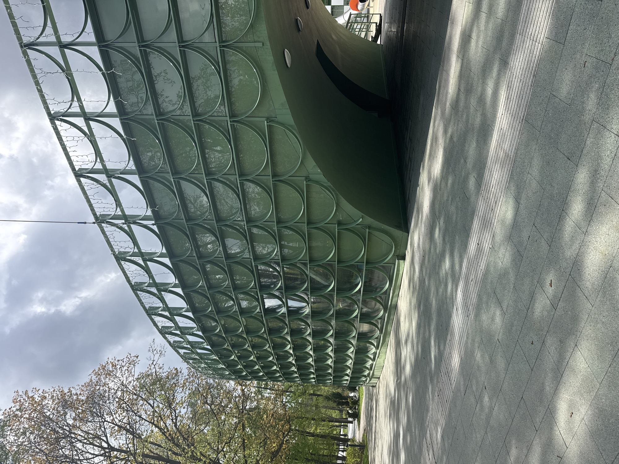 The image shows a modern architectural structure in Nizhny Novgorod, Russia. A curved, green metal grid forms a canopy over a pedestrian walkway. The grid is composed of numerous semi-circular shapes. Behind the canopy, a solid green structure curves upward. The walkway is paved with grey tiles and is shaded by the canopy. In the lower left corner, there are trees with green and yellow foliage. The sky is overcast with grey clouds. The lighting suggests it is daytime. There are no people visible in the scene.