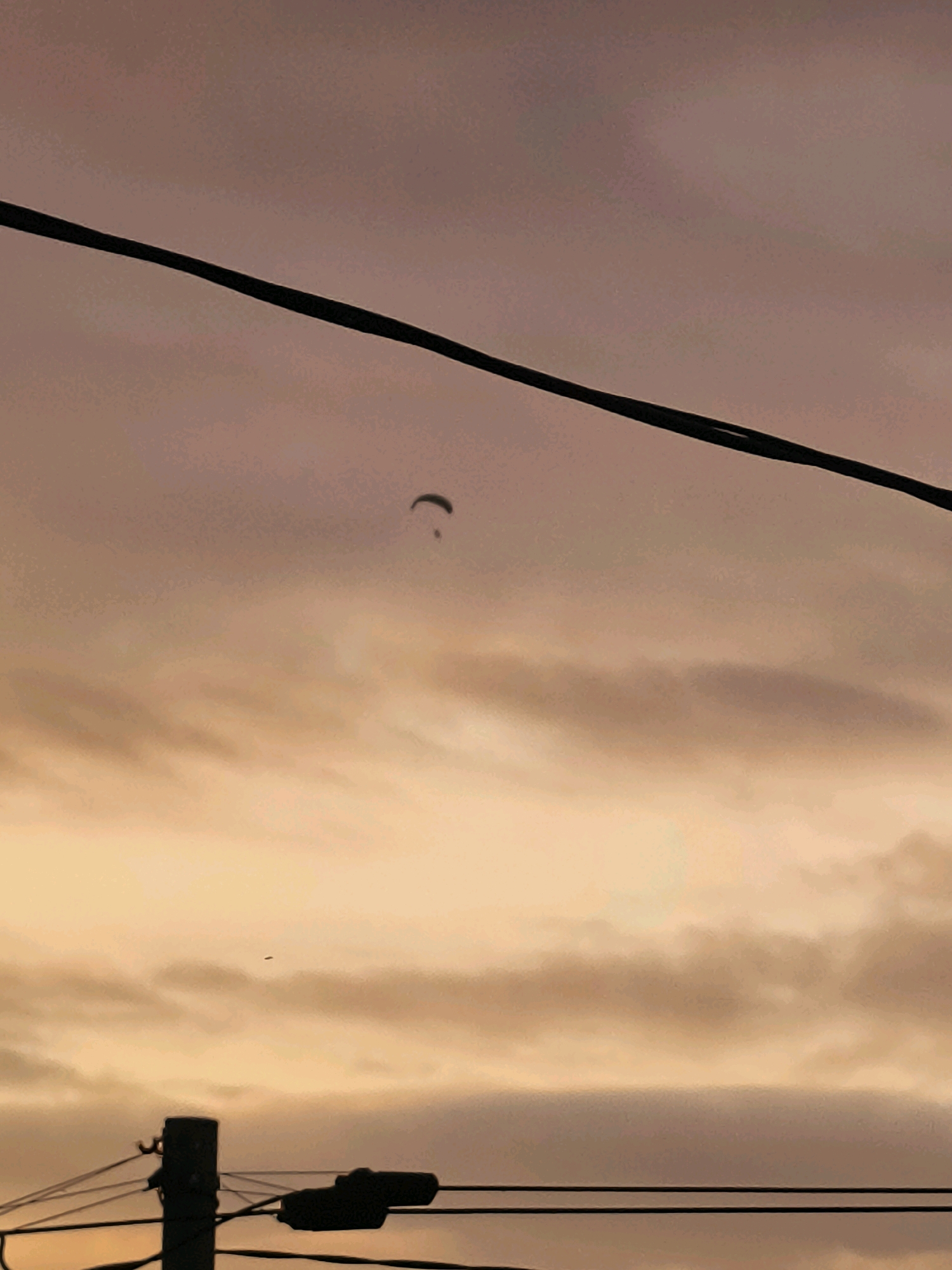 A paraglider is captured mid-flight against a muted, overcast sky at sunset. The sky transitions from a dusky pink hue at the top to a warmer, golden orange near the horizon. A dark power line stretches diagonally across the upper portion of the frame. In the lower section, silhouetted against the sky, are utility poles and more power lines, suggesting an urban or suburban setting. The overall impression is one of twilight in Batumi, Georgia, with a sense of open space above the man-made structures.