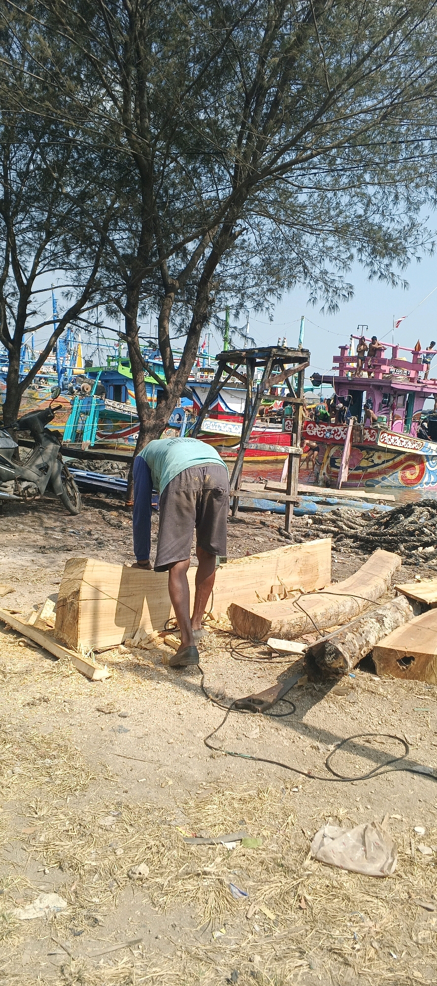 In Blimbing, Indonesia, an individual wearing a light blue t-shirt and dark shorts is seen working on a large wooden beam. The person is bent over, appearing to use a power tool, possibly a saw, on the wood. Wood shavings are scattered around the beam and on the ground, indicating recent work.
In the background, several colorful fishing boats are docked, suggesting a harbor or waterfront area. One boat is predominantly pink with intricate designs and people on its deck. Another boat is blue and green, also with visible details. A motorcycle is parked to the left of the scene. The ground is a mix of dry grass, dirt, and debris. The environment is outdoors, under a tree with sparse foliage and a clear blue sky. A ladder-like wooden structure is also visible.
