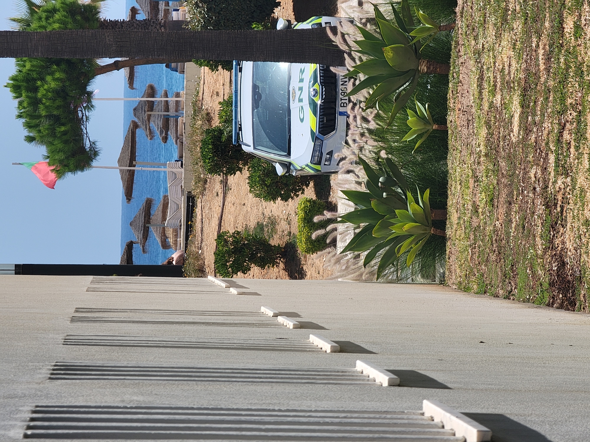 This is an eye-level, medium shot of a GNR (Guarda Nacional Republicana) patrol vehicle parked behind landscaping on a sunny day, with the ocean and beach in the background. The GNR vehicle, a white Skoda with green and yellow insignia and blue flashing lights, is positioned in the middle ground, partially obscured by a palm tree trunk on the right and lush green foliage in the foreground. The vehicle's license plate reads "BT 95 NV".
In the background, the blue ocean stretches to the horizon under a clear sky. Beach umbrellas with thatched roofs are visible, along with stacks of white lounge chairs. A Portuguese flag flies from a flagpole on the left side of the scene. A person wearing a light-colored top is seated on one of the lounge chairs, facing away from the camera.
The foreground consists of a dry, sandy area with scattered green grass, large agave plants with pointed leaves, and feathery ornamental grasses. To the left, the textured, pale gray wall of a building dominates the left side of the frame, featuring vertical, grooved patterns and small, white rectangular protrusions casting shadows. The scene suggests a location in Quarteira, Portugal, likely near the beach or a resort area.