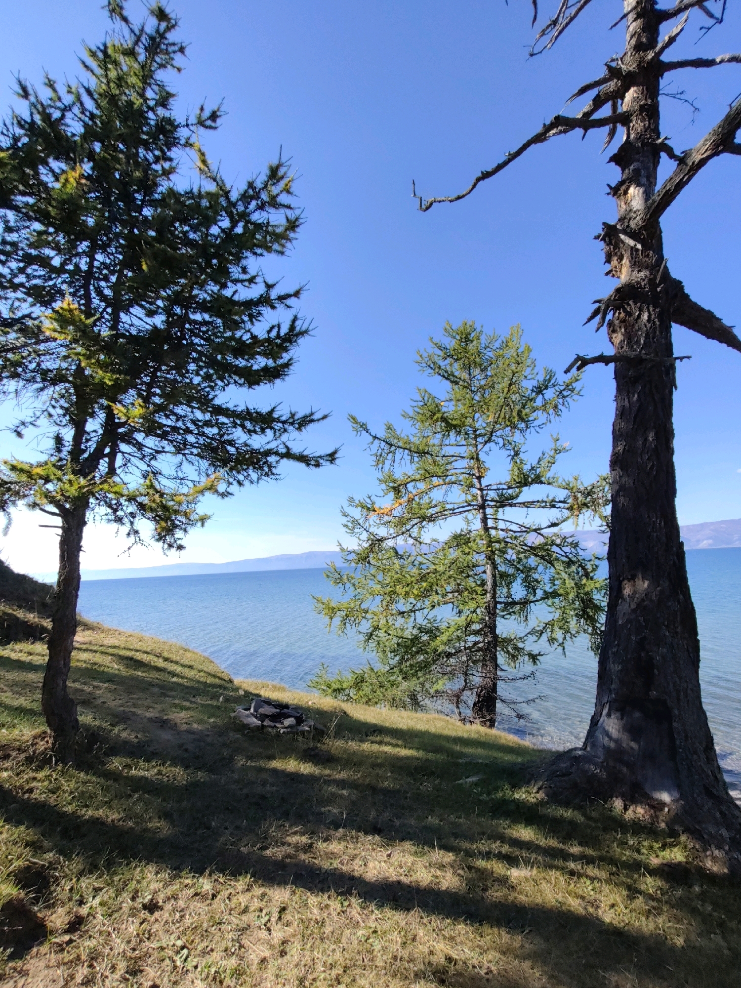 This image depicts a natural landscape with a body of water, trees, and a clear blue sky. In the foreground, there are several trees, one of which is a large, dark, and gnarled dead tree on the right side of the frame. To the left, a younger, greener evergreen tree stands on a grassy slope. In the middle ground, another evergreen tree is visible, and beyond that, a large expanse of clear blue water stretches to the horizon. In the distance, faint, hazy mountains can be seen. On the grassy slope near the trees, there is a small, circular stone structure that appears to be a fire pit. The ground is covered in dry grass and shadows are cast by the trees. The scene appears to be an outdoor setting, possibly a park or natural area. The location is identified as Kharantsy, Russia.