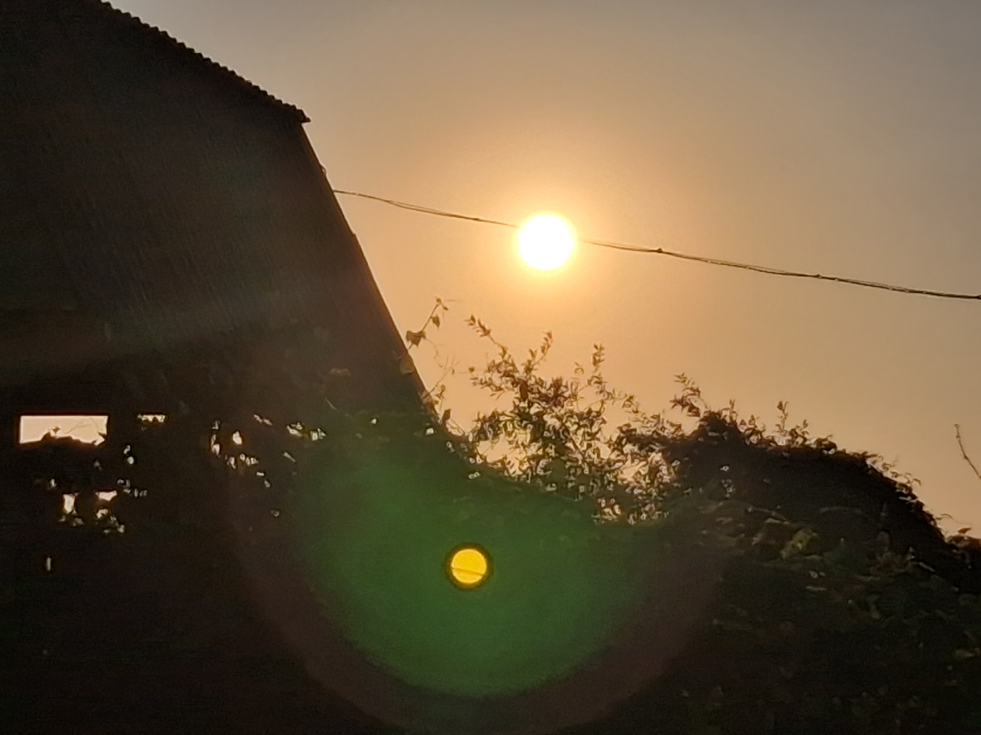 An outdoor, eye-level, medium shot captures the setting sun. The sun, a bright, luminous orb, is positioned centrally in the upper half of the frame. A thin, dark wire stretches horizontally across the image, passing in front of the sun. To the left, the dark silhouette of a building's roofline with a textured edge dominates the left side of the image. Below the roofline, a darker, silhouetted structure is visible with a rectangular opening. In the foreground, the silhouette of dense foliage and trees obscures the lower part of the scene. A prominent green lens flare with a central yellow circular light is superimposed over the lower portion of the image, obscuring details of the foliage and the ground. The sky is a uniform gradient of pale orange, transitioning to a lighter hue towards the top, indicating a sunset or sunrise. The image is focused on the sun and the silhouettes of the building and foliage, with the lens flare being a significant visual element. There are no people or animals visible. The image appears to be a photograph taken in Semey, Kazakhstan, likely during the evening or early morning.