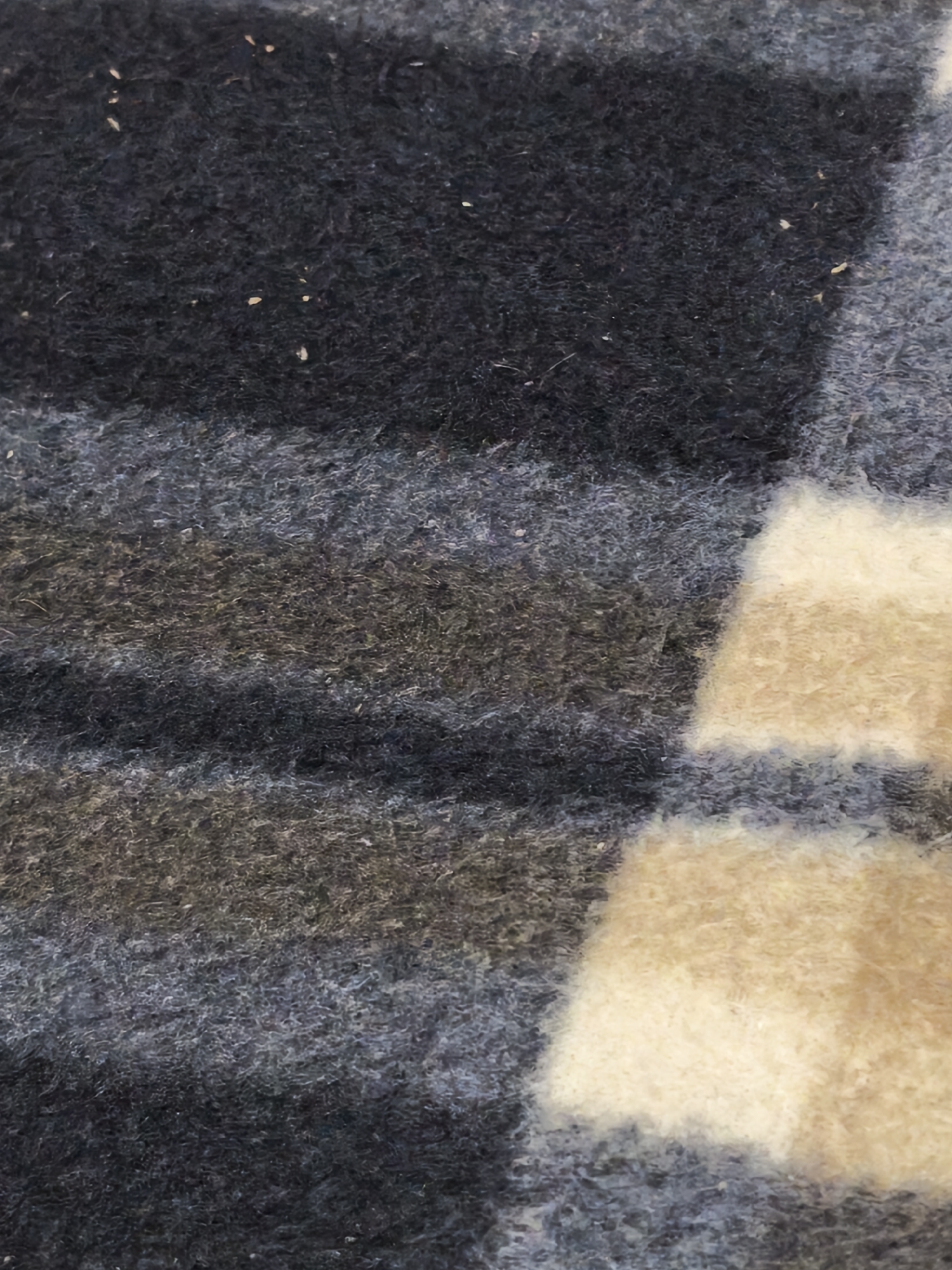 The image shows a close-up of a woolen blanket. The blanket has horizontal stripes of black, gray, and beige. Some debris appears on the surface.