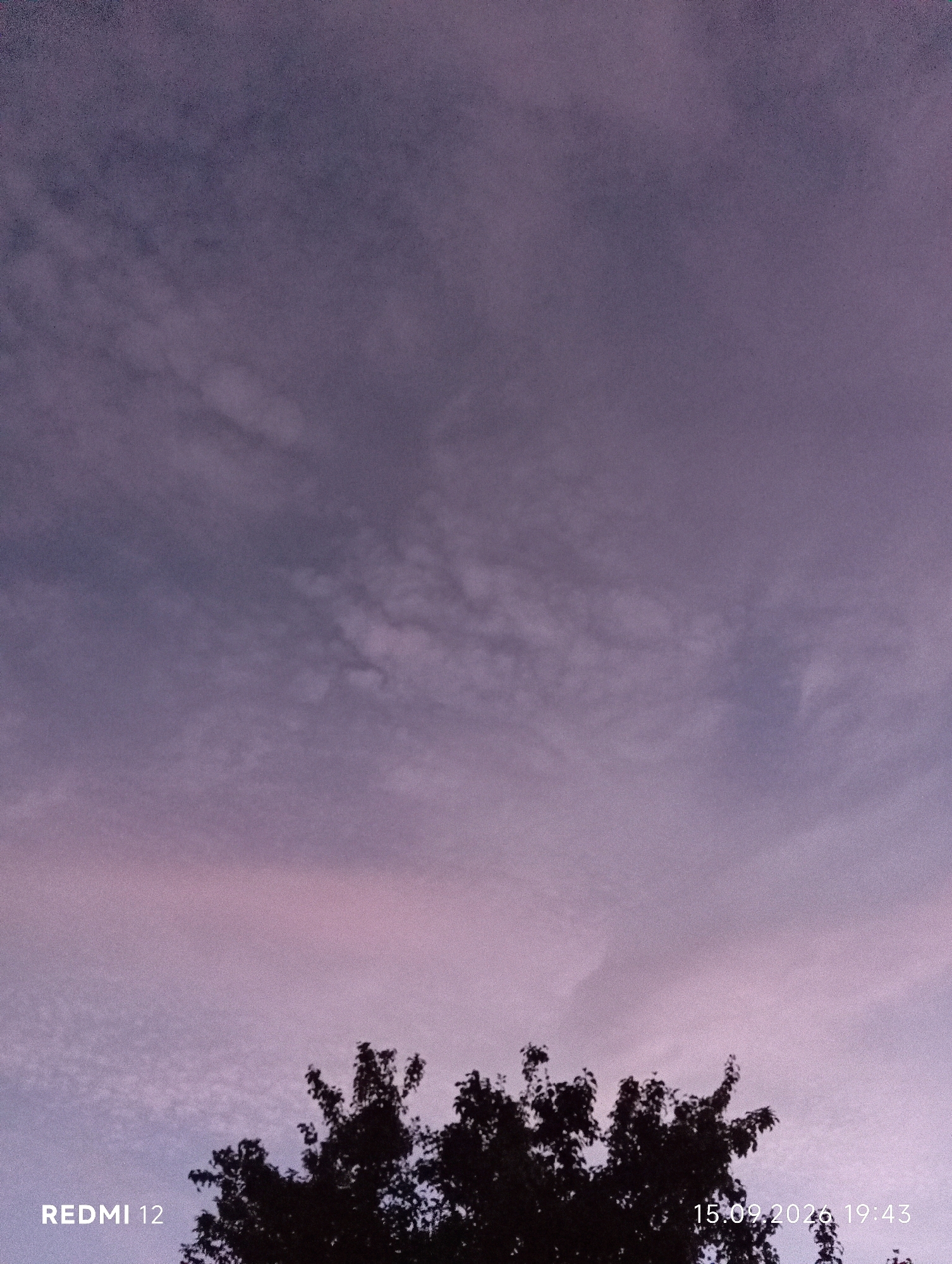 This is a photograph taken in Smila, Ukraine. The image is a landscape oriented shot of a dusky sky. The sky is filled with soft, wispy clouds that appear to be tinged with pink and purple hues, suggesting it is either sunrise or sunset. In the foreground, silhouetted against the sky, is the top portion of a dense tree with many branches. The lower left corner of the image displays the text "REDMI 12" in white, and the lower right corner shows the date and time "15.09.2026 19:43" also in white. There are no people or animals visible in the image. The environment is natural, with the focus being on the sky and a solitary tree.