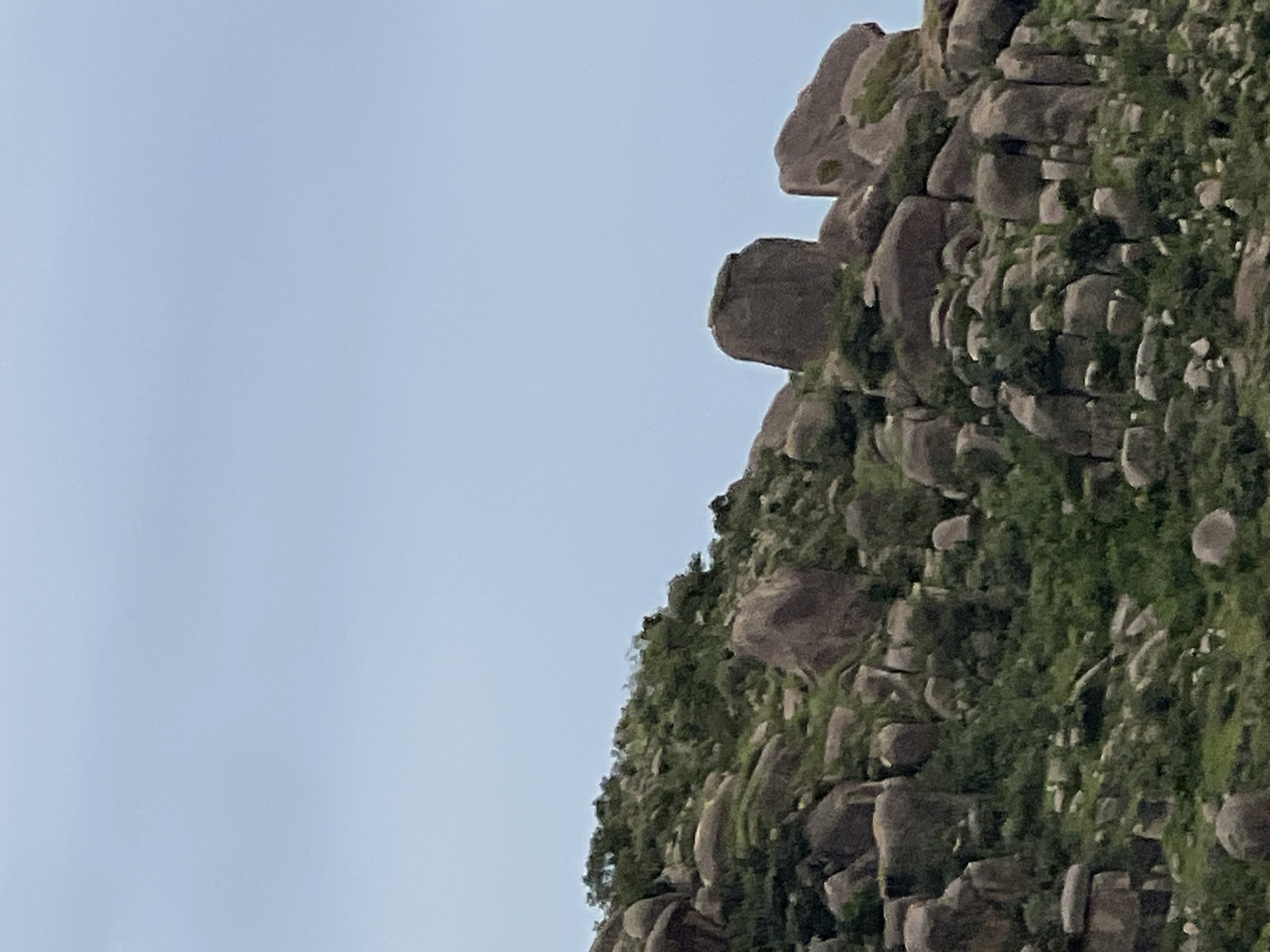 The image shows a rocky, vegetated hillside under a pale blue sky. The hillside is covered with numerous large, rounded boulders of various sizes, interspersed with green shrubs and grass. The rocks are predominantly grey and brown, with some showing signs of weathering. The vegetation appears to be dense in places, creating a rugged, natural landscape. The scene suggests an outdoor environment, possibly a natural park or a mountainous region. This scenery is consistent with the geological formations found around Jos, Nigeria, known for its granite rock formations and hilly terrain.