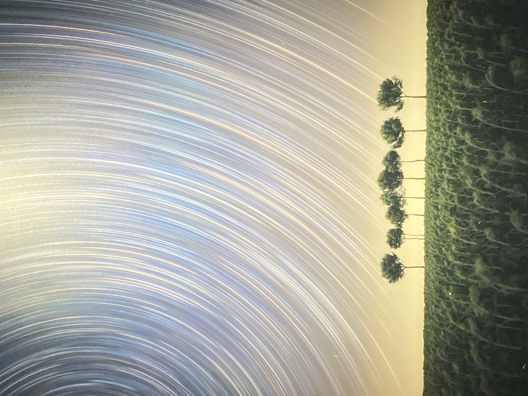 The image presents a long-exposure photograph capturing star trails against a backdrop featuring a row of trees and what appears to be a field or landscape. The star trails form concentric arcs across the sky, displaying a radial pattern. The trees stand in a line, with the background behind them appearing to be a light-colored sky or possibly a setting sun. The right side of the image depicts a dense, textured area which is likely a field. The scene is likely taken in a rural or open area. The location and city cannot be identified based on the visual information provided.
