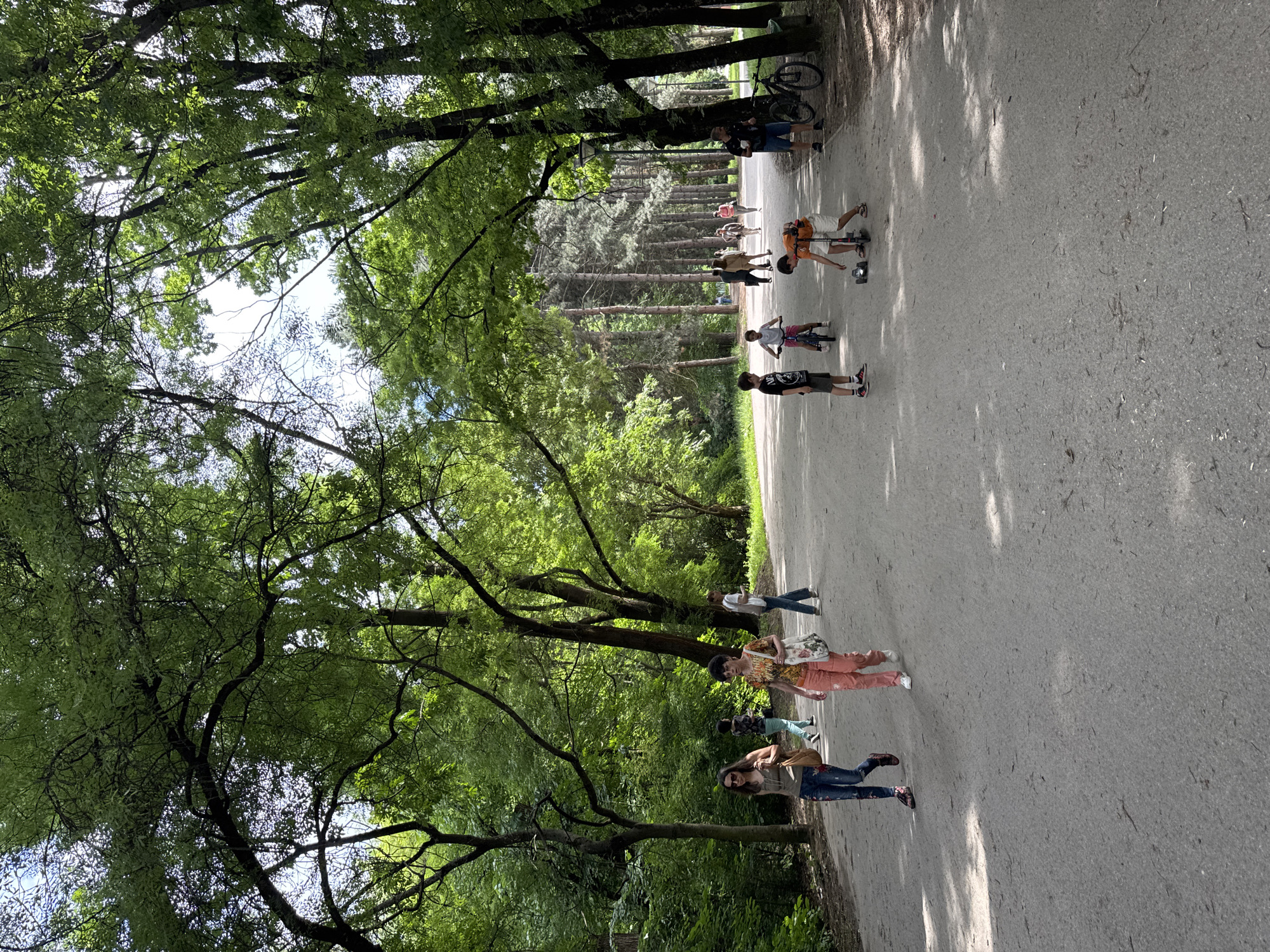 This image depicts a wide, grey-surfaced pathway within Borisova gradina park in Sofia, Bulgaria, under direct sunlight, indicated by pronounced shadows. Approximately 15 individuals are present along the path, engaged in recreational activities.
In the foreground on the left, two adult females are walking towards the camera. The woman on the left wears sunglasses, a green tank top, patterned blue jeans, and carries a brown shoulder bag. The woman to her right wears an orange-patterned short-sleeved top, peach-colored trousers, and carries a white tote bag with a floral design.
To the right in the foreground, three children and one adult male are present. One child, wearing a dark t-shirt and shorts, stands to the left of this group. A second child, wearing light clothing and pink shorts, rides a pink bicycle away from the camera. A third child, wearing an orange t-shirt and light shorts, is crouched over a black and silver remote-control vehicle and a scooter on the path. An adult male stands on the far right, wearing a dark t-shirt and light shorts, holding a dark cup, and observing the children. Two bicycles, one dark and one lighter in color, are parked beside him.
Further down the path, a group of approximately 6-8 adults are observed walking in various directions. On the left side of the path in the mid-ground, a single adult walks away from the camera.
The park environment is characterized by a dense canopy of mature trees. The left side of the path features predominantly deciduous trees with bright green foliage. The right side and background display a mix of deciduous trees and numerous tall, slender coniferous trees (pines), creating a deep perspective. Patches of bright sky are visible through the tree canopy. Two dark-colored park lampposts are partially visible on the right side of the path, beyond the parked bicycles. The pathway surface exhibits minor debris.