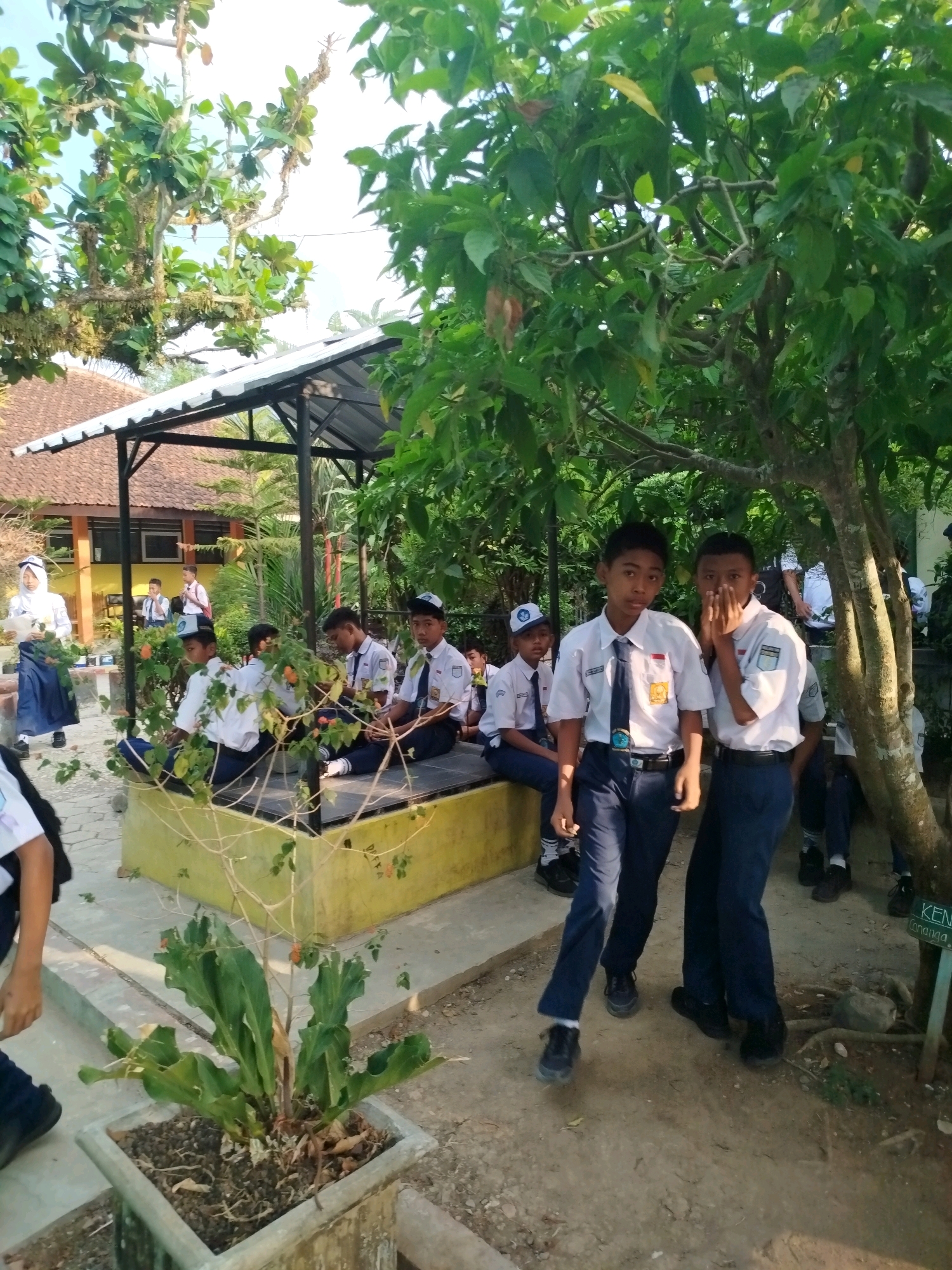 The photograph depicts an outdoor scene, likely a schoolyard or common area, with students in uniform. In the foreground, two male students in white shirts, dark ties, and dark pants are standing under a tree. The student on the left is looking towards the camera with his hands at his sides, while the student on the right has his hands covering his mouth. Behind them, other students in similar uniforms are seated on a yellow platform structure, some engaged in conversation. One female student in a white hijab and blue skirt stands to the left, holding some greenery. The background reveals a building with a terracotta roof and a covered outdoor area with a white roof. The environment is characterized by trees, foliage, and a dusty ground. The presence of a sign that says "KENANGA" suggests this location may be within the Karangsambung region of Indonesia, possibly referring to the Cananga tree, which is native to the area. The lighting indicates it is daytime, likely in the morning or afternoon given the sunlight filtering through the trees.