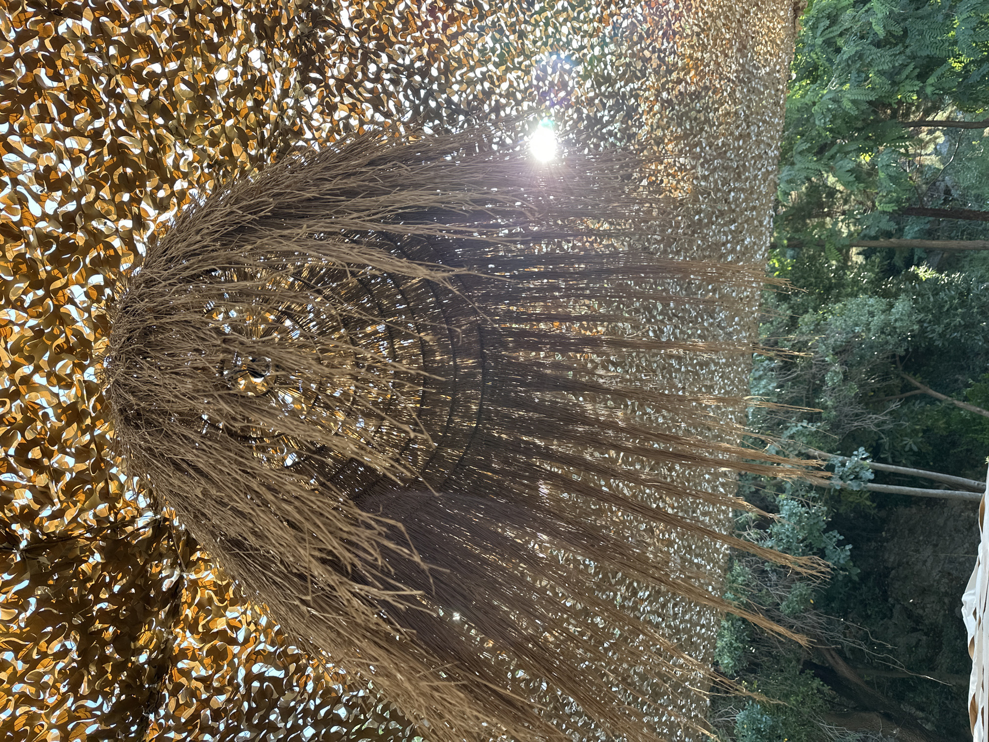 This image captures a view from beneath a thatched umbrella in Boreti, Montenegro. The umbrella's canopy, made of dried reeds or straw, hangs down in strands, creating a textured, natural ceiling. Above the thatch, a camouflage netting is visible, allowing dappled sunlight to filter through. The sun is setting, and its rays are breaking through the canopy and netting, creating bright flares and lens effects. In the background, lush green trees form a dense backdrop, hinting at a natural or park-like setting. The overall impression is one of shade and natural beauty, with the sunlight adding a dramatic and warm quality to the scene.