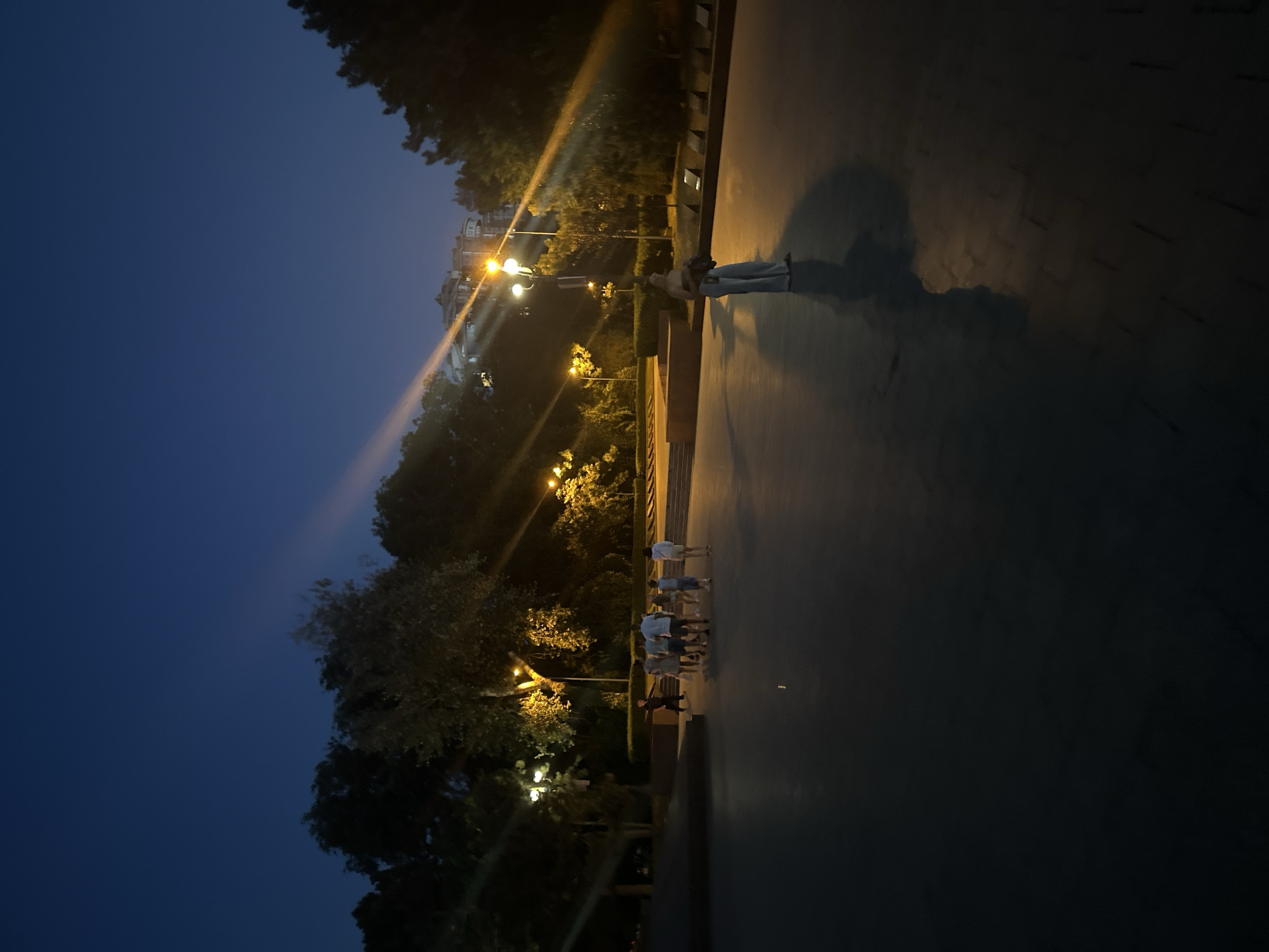 The image depicts an outdoor public space at dusk, illuminated by streetlights. A group of approximately seven people, appearing to be children and young adults, are gathered in the mid-ground, facing away from the camera. They are positioned on a paved area with stepped structures behind them. To the right, a single individual, perceived as female, stands facing left, away from the camera, casting a long shadow on the pavement. The background features trees and buildings visible in the distance, with some buildings illuminated by streetlights and the setting sun. The sky is a deep blue, transitioning to darker tones. There are visible light flares from the streetlights, suggesting a low-light photography setting. The location is identified as Odesa, Ukraine.