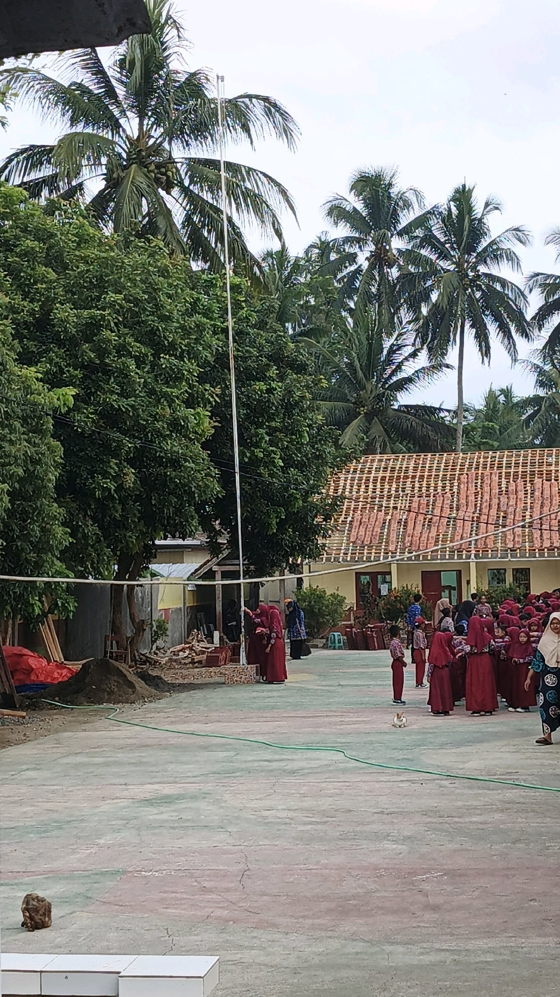 The image depicts an outdoor scene in Cibenda, Indonesia, likely a schoolyard or community area. In the foreground, a light-colored concrete surface with subtle pink and green markings serves as the ground. A small, light-colored object, possibly a rock, rests on the left side of the pavement. Further back, a few white, low rectangular structures are visible.
The middle ground is occupied by a group of people, predominantly young girls dressed in maroon Islamic school uniforms and headscarves, gathered in a semi-circle. Some adults are also present, including a woman in a blue and white patterned headscarf and dress on the far right, and a few individuals in maroon uniforms near the left edge of the gathering. Two people in maroon are standing closer to a building on the left. A small, light-colored cat is standing in the middle of the gathering. A green hose snakes across the pavement.
In the background, lush green trees and tall palm trees with coconuts dominate the landscape. A building with a reddish-brown tiled roof and yellow walls is situated behind the crowd. A white flagpole stands prominently in front of the trees and the building. Construction materials, including a pile of dirt and what appear to be wooden planks and red tarps, are present on the far left of the image. The sky is overcast.
