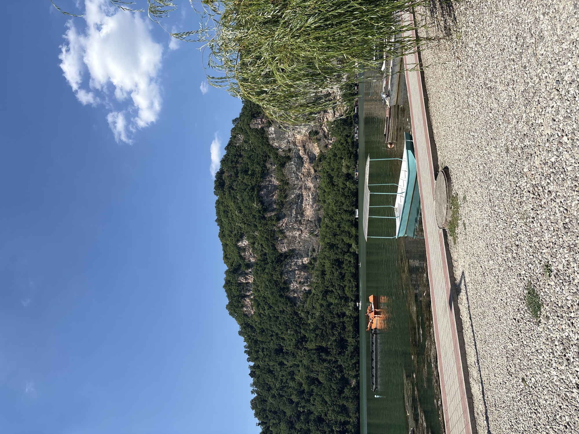 The image depicts a serene waterside scene, likely in Divic, Bosnia and Herzegovina, under a bright, sunny sky with scattered white clouds. The orientation of the image is vertical.
The foreground is dominated by a gravel path and a paved walkway bordering a calm body of water. Along the water's edge, a light blue and white boat is docked, its railing clearly visible. Further in the water, an orange floating structure, possibly a small boat or a piece of equipment, is also present. A prominent feature is the lush green foliage of a weeping willow tree, its branches hanging down towards the water and the path.
In the background, a majestic, tree-covered mountain rises steeply from the water. The mountain's rocky face is partially exposed, adding texture to the natural landscape. The water is a deep green, reflecting the surrounding greenery and the sky.
The time of day appears to be midday, given the bright sunlight and the shadows cast by the willow tree. The weather is fair and pleasant. The overall mood is peaceful and tranquil, suggesting a leisurely day by the water. No people are visible in the image. There is no visible text.