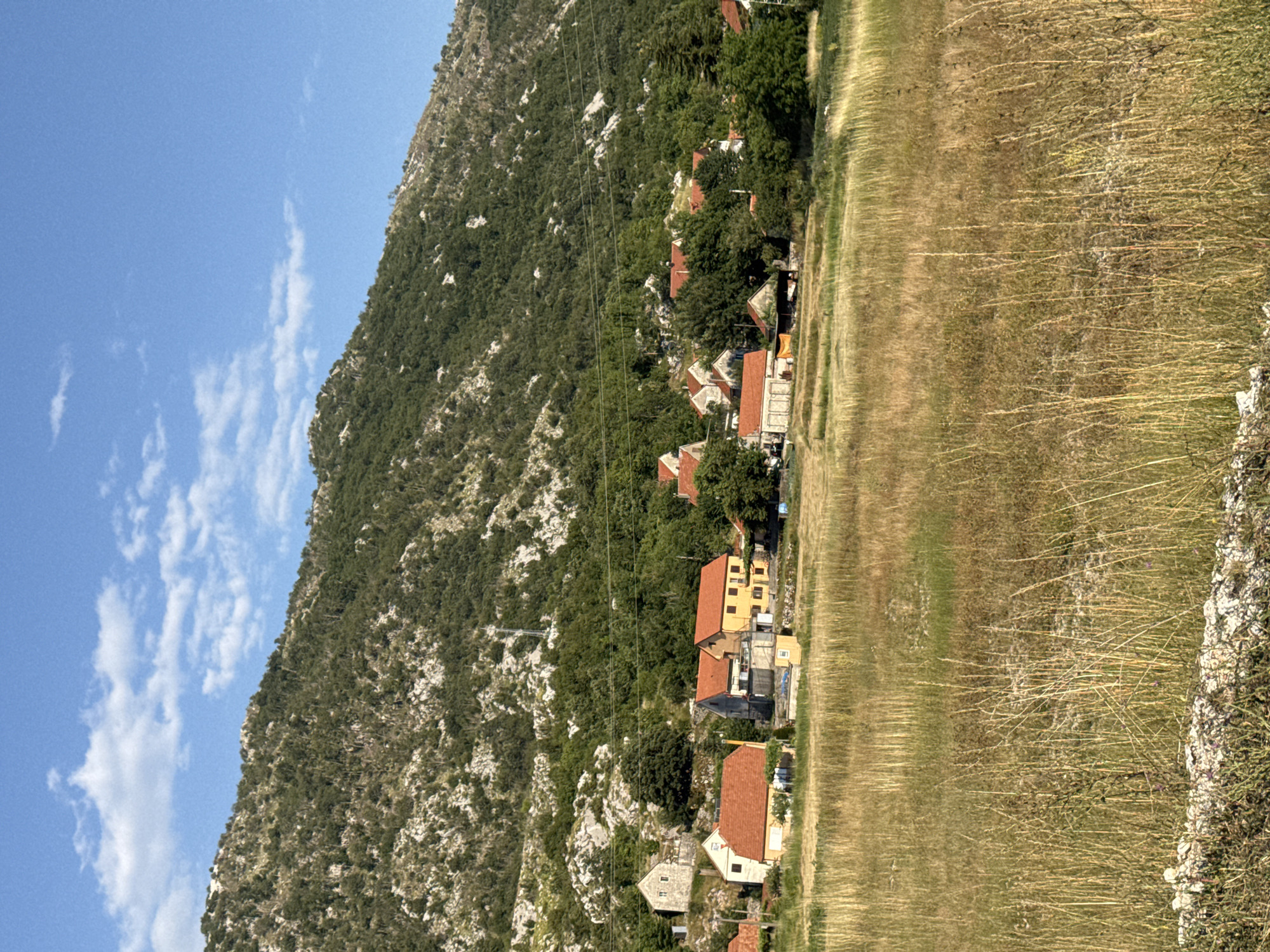 The image depicts a village nestled at the base of a rocky, tree-covered mountain under a bright blue sky with scattered white clouds. In the foreground, a dry, tall grass field dominates the scene, with some scattered rocks and low vegetation. The midground features a collection of houses with orange-tiled roofs, varying in size and color, some appearing to be made of stone and others of plaster. A few of these structures have multiple stories, while others are single-story with attached sheds or garages. The houses are spread out, with some close together and others more isolated. Behind the village, the mountain rises steeply, covered in dense green trees and interspersed with grey rock formations. A power line stretches across the frame in the midground, running above the houses and towards the mountain. The overall impression is a rural, tranquil setting in Njeguši, Montenegro, characterized by its traditional architecture and natural landscape. There are no people or animals visible in the image, and no specific actions or interactions are taking place. The environment is dry and arid, suggesting a warm climate.