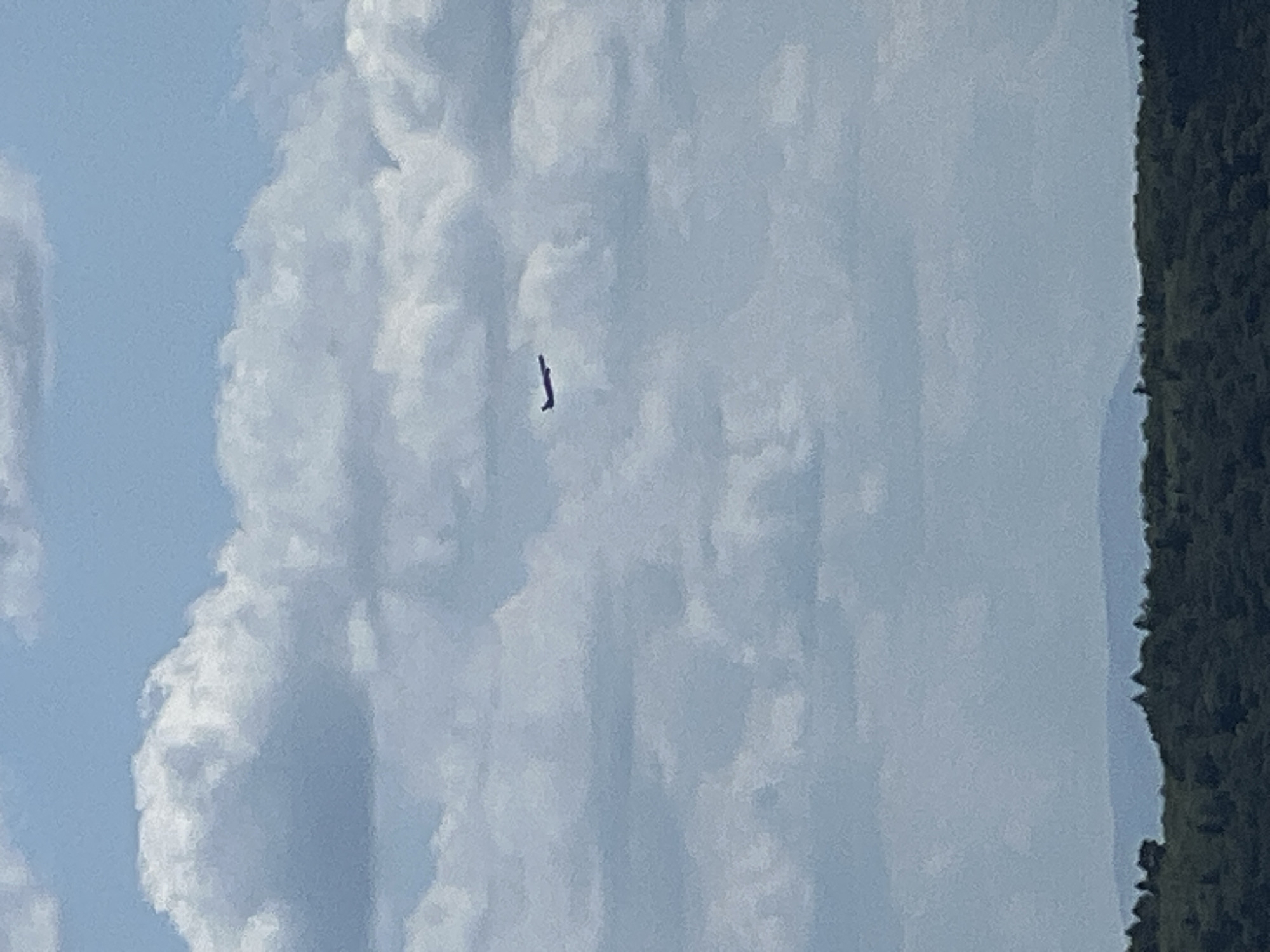 In the city of Karniowice, Poland, an airplane is seen flying in the sky. The sky is filled with clouds, and below the clouds, a dark green forest can be seen, with a line of distant hills on the horizon. The airplane is dark in color and is seen flying to the left of the image.