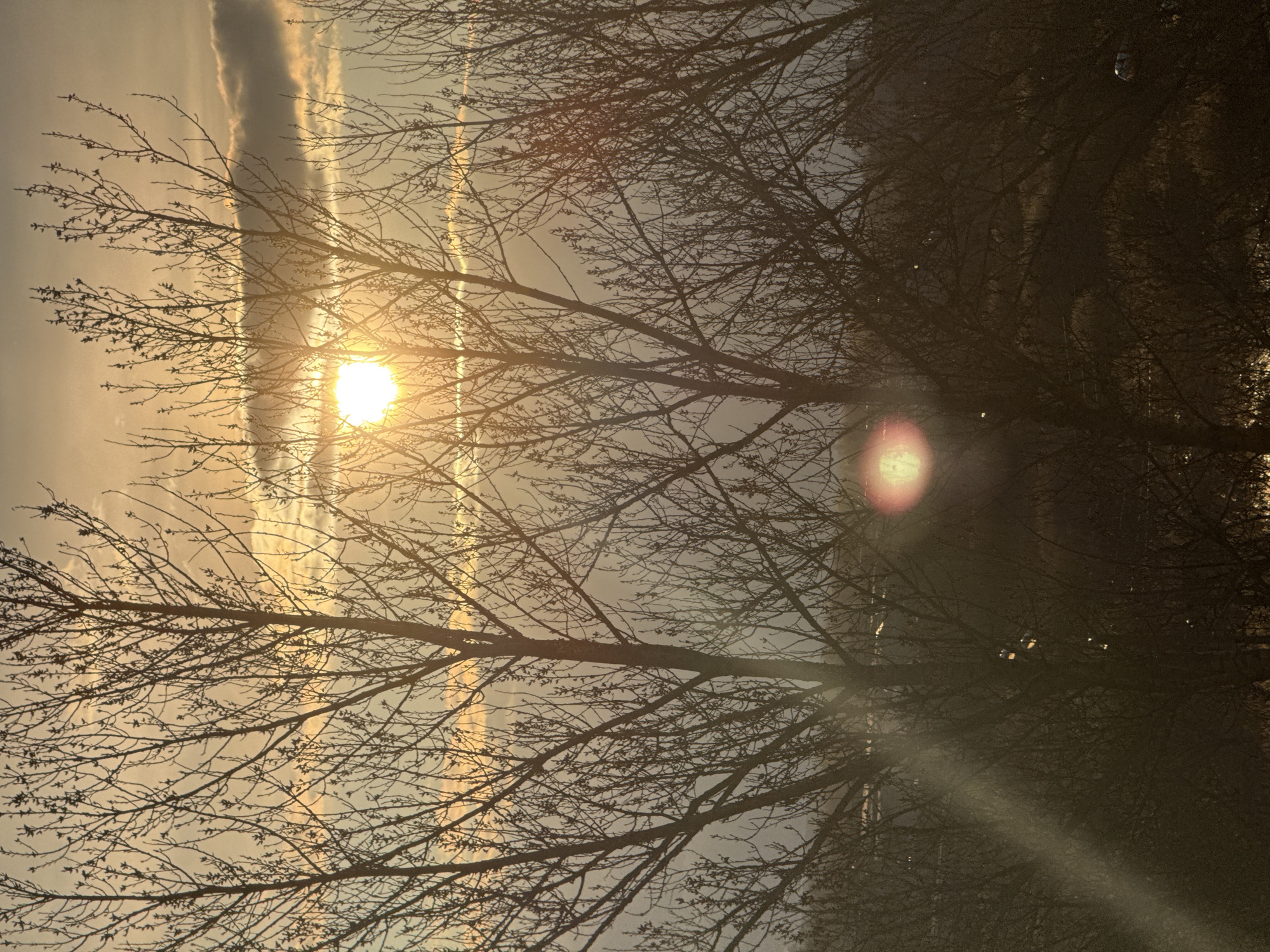 The image shows a view of trees silhouetted against a bright, hazy sky. The sun is visible, positioned behind the trees, creating a lens flare effect. The branches of the trees are bare, suggesting it is either late autumn or winter. There are faint cloud formations in the sky. The location, Kladovitsy, Russia, cannot be determined from the image alone. There are no people, specific objects, actions, or interactions evident. The environment is a natural setting with trees and a clouded sky.