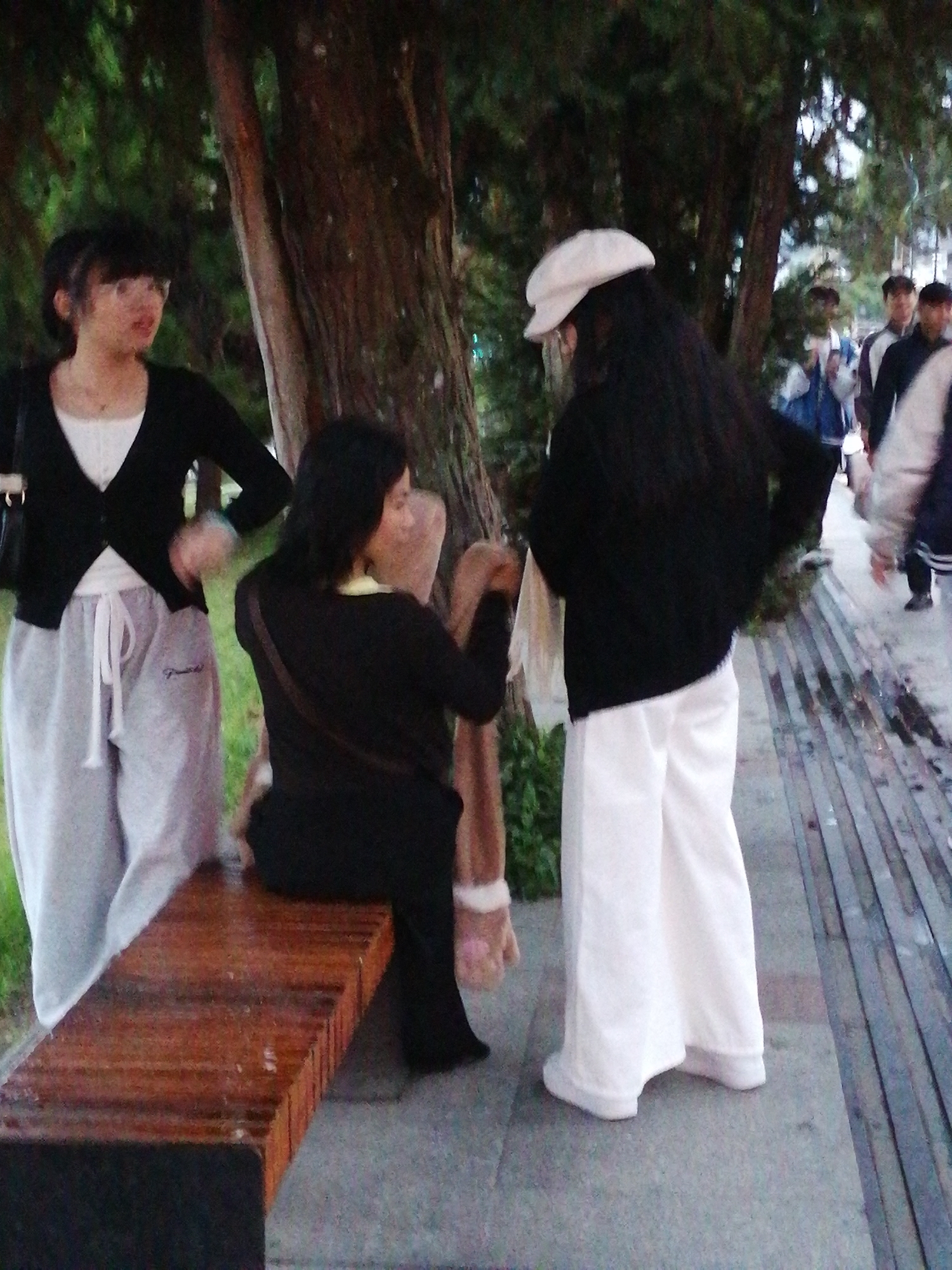 Memory