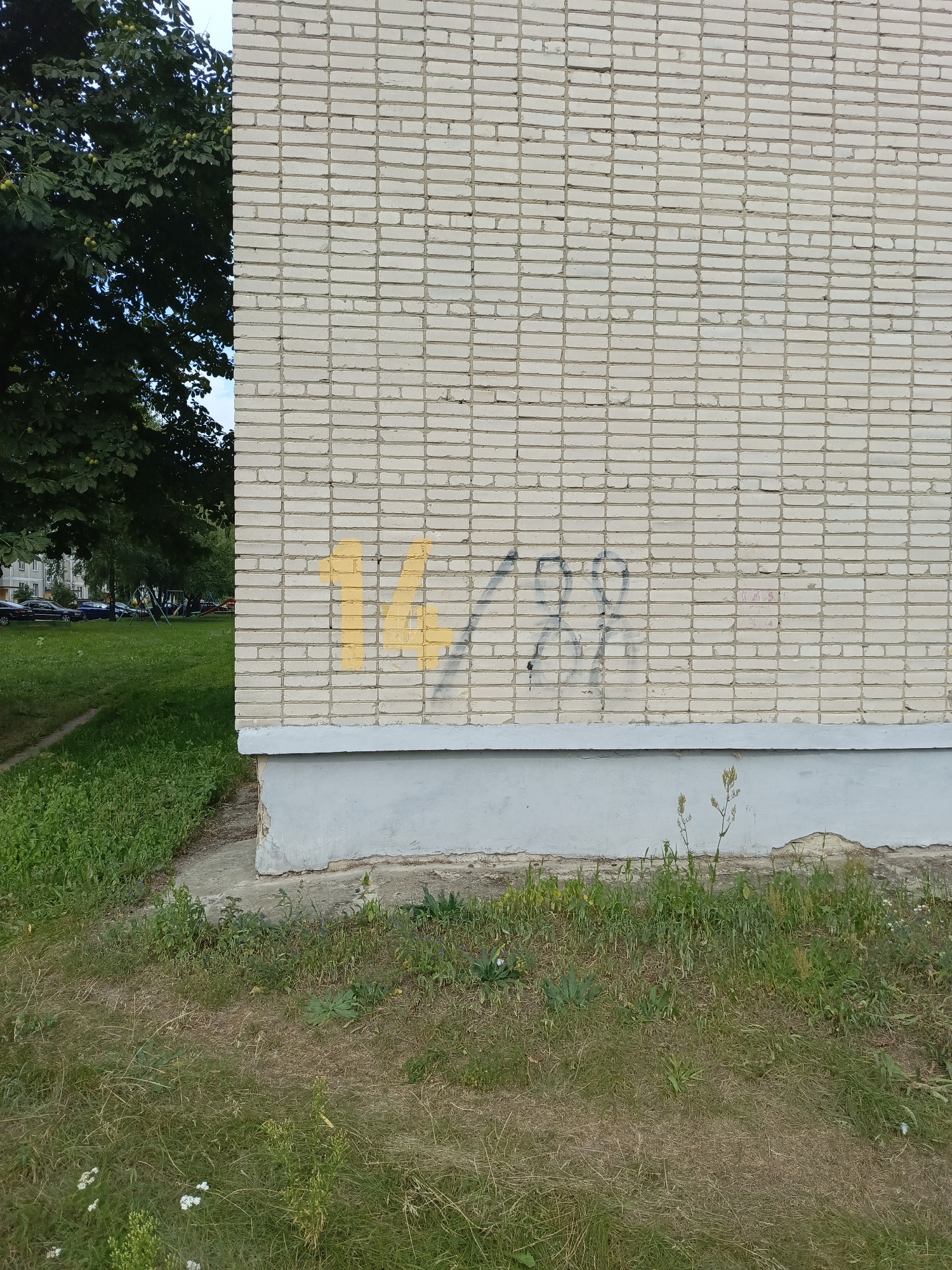 The image depicts a close-up view of a light-colored brick wall, likely part of an apartment building in Ivatsevichy, Belarus. The wall features yellow spray-painted numbers that appear to read "14". To the right of the yellow numbers, there is a faint black spray-painted marking that could be interpreted as a partial "29" or a stylized "A". The bottom of the wall is a light gray concrete foundation, which shows signs of wear and tear with some chipping. To the left of the brick wall, a large tree with green leaves and some small green fruits is visible. The ground in front of the wall is covered with grass, some of which is dry and brown, and some is greener and more lush. There are also some small wildflowers scattered in the grass. In the background, to the left of the tree, glimpses of a grassy area, a paved path, and parked cars can be seen, suggesting a residential or public outdoor space. The overall scene is outdoors on a sunny day, as indicated by the lighting and shadows.