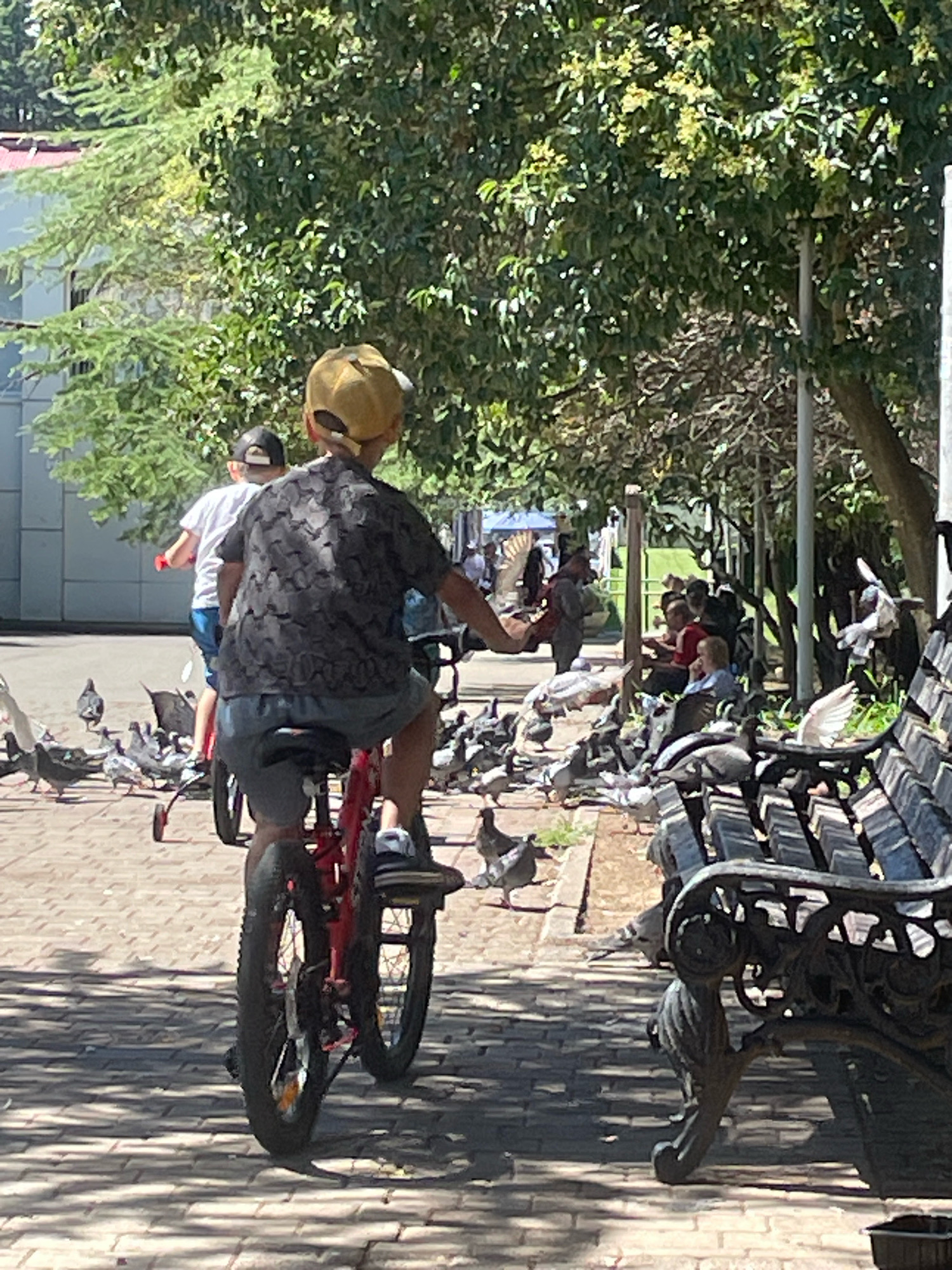 In an outdoor park setting, possibly in Sochi, Russia, two young boys on bicycles are the central focus. The boy in the foreground, wearing a yellow cap and a patterned shirt, is riding a red bicycle. He is positioned with his back to the camera, his legs are bent, and he appears to be pedaling. His bike has training wheels. Behind him, another boy in a white shirt and blue shorts is also on a bicycle. The ground is paved with light-colored bricks, casting shadows from trees overhead. A flock of pigeons is scattered on the ground around the bicycles, some pecking at the ground, others in flight. To the right, a black park bench with intricate metalwork is visible, also surrounded by pigeons. In the background, more people are seated on benches and walking, and lush green trees form a canopy over the scene. A building with a red roof is partially visible on the left.