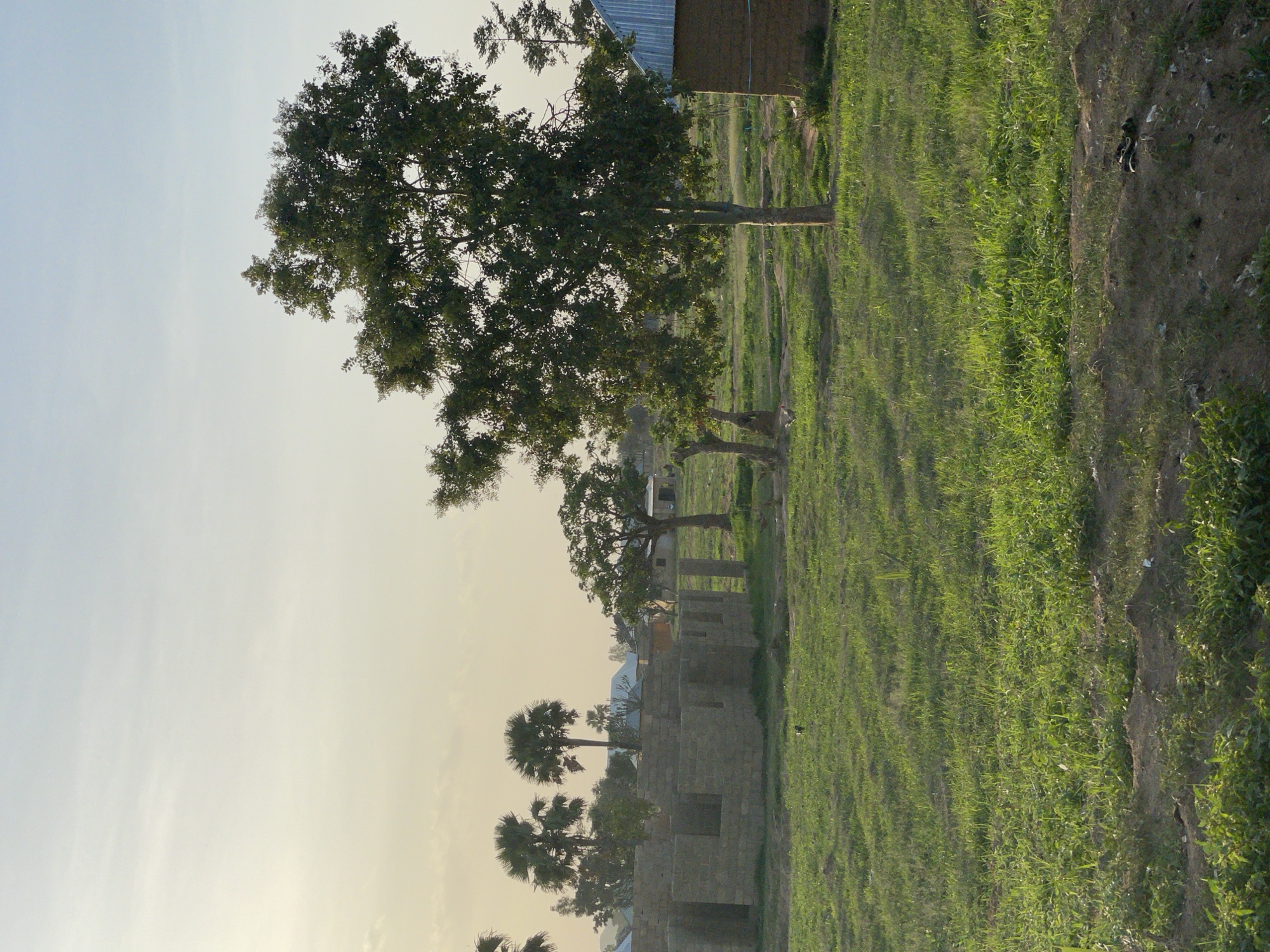 The image shows a rural scene in Barikin Gidar Kanat, Nigeria. A row of trees lines the edge of a grassy field, separating it from a row of unfinished stone buildings. In the background, additional buildings are visible. The sky is a pale yellow, suggesting it is either dawn or dusk. A pair of shoes and debris rest on a dirt embankment near the field.