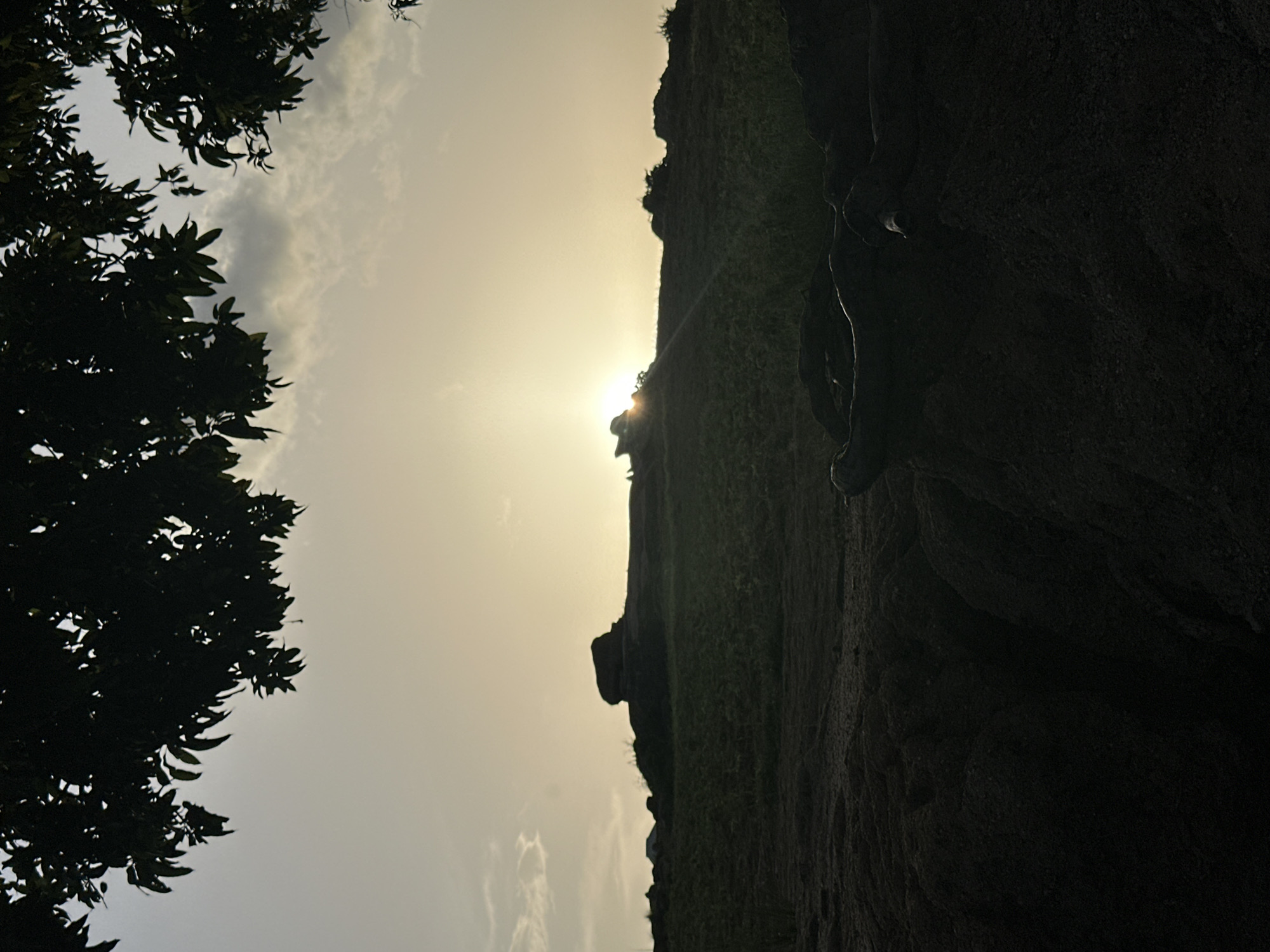 The image depicts a silhouetted scene of a rocky outcrop and a tree against a bright sky. The sun is low on the horizon, casting a warm, diffused light that creates a hazy, atmospheric effect. The sky is mostly clear, with a few wispy clouds scattered across it. The rocky outcrop dominates the right side of the image, its rough texture and uneven surface clearly visible even in silhouette. The sun's rays are peeking from behind the edge of the outcrop, creating a lens flare effect.
On the left side of the image, the dark silhouette of a leafy tree fills the frame. Its branches are spread wide, and the leaves are sharply defined against the bright sky. The contrast between the dark foliage and the luminous sky is striking.
The orientation of the image suggests it was taken with the camera rotated. The low sun indicates either sunrise or sunset, and the overall mood is serene and peaceful. The setting appears to be outdoors, possibly in a natural landscape with rocky terrain and vegetation. While no specific structures are visible, the presence of the tree and rocks suggests a natural, possibly rural or semi-rural, location. The image doesn't contain any visible text. The scene evokes a sense of tranquility and natural beauty.