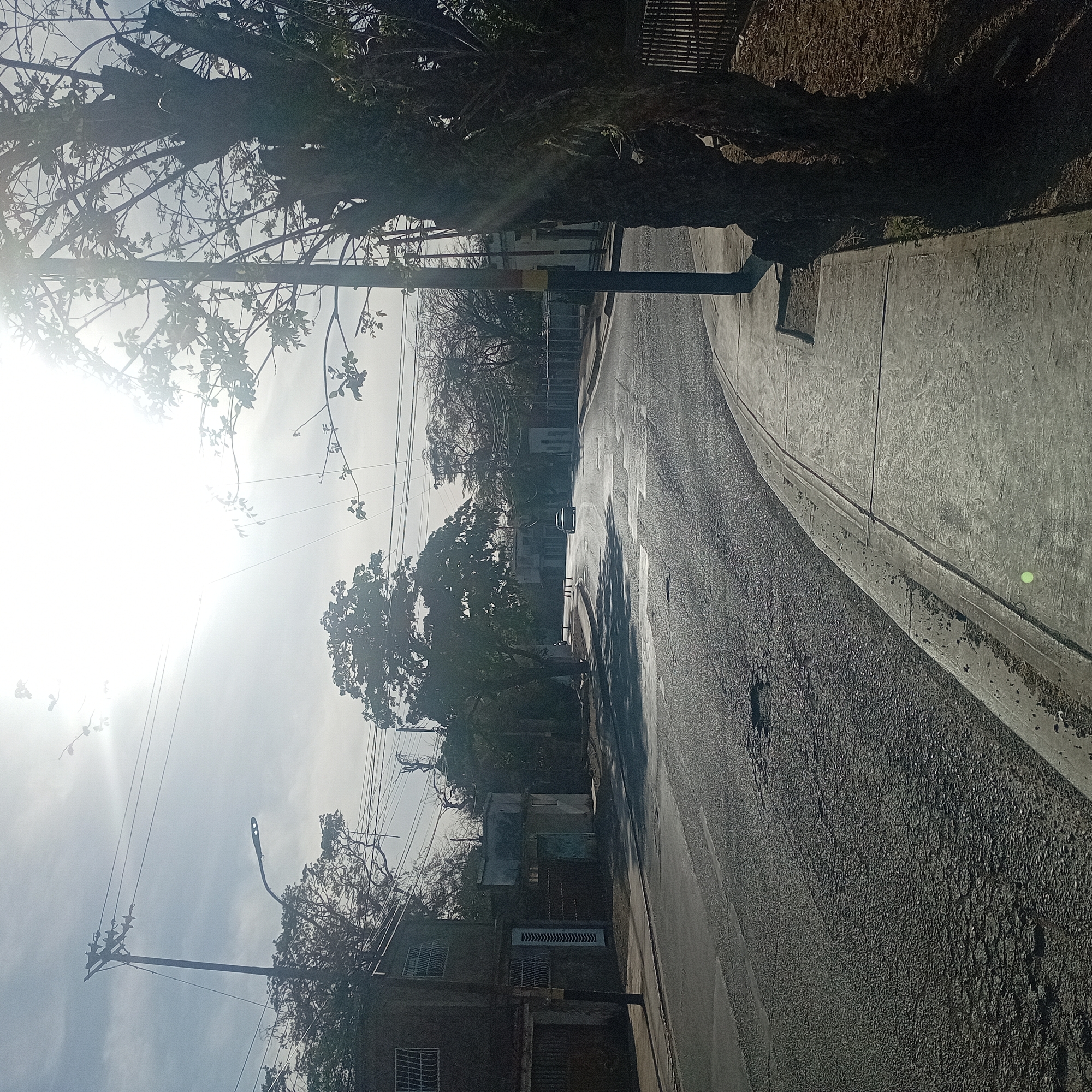 The image depicts a street in an urban setting, likely during daylight hours as indicated by the bright sunlight. The street is paved and appears to be wet or recently cleaned, with the reflection of the sky and surrounding objects visible on the surface. Buildings of varying heights line the street, with some appearing to be residential and others possibly commercial. Trees are present along the street, providing shade and adding a natural element to the scene. Power lines stretch across the sky, connecting utility poles that are positioned along the road. A vehicle can be seen further down the street, suggesting vehicular traffic is present. The sidewalk is visible on the right side of the image, bordered by a curb separating it from the road. The environment seems to be a mix of urban and natural elements.