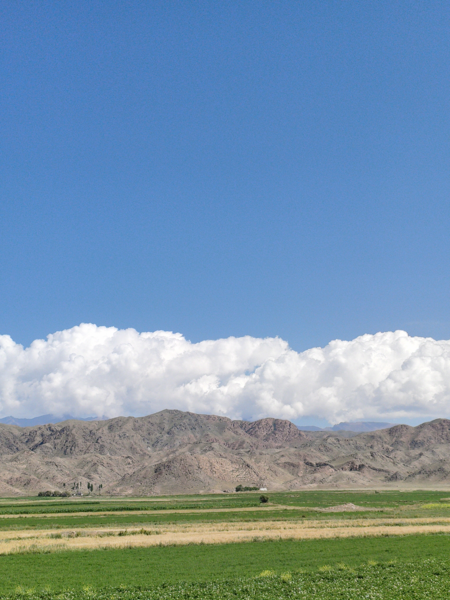 A wide shot captures a vast, open landscape under a clear blue sky, with a band of fluffy white clouds resting just above a range of rugged, tan-colored mountains. The lower portion of the image is dominated by agricultural fields, displaying a patchwork of green and golden-yellow crops. In the distance, a small cluster of buildings and trees is visible near the base of the mountains. The overall scene is one of rural tranquility and expansive natural beauty.