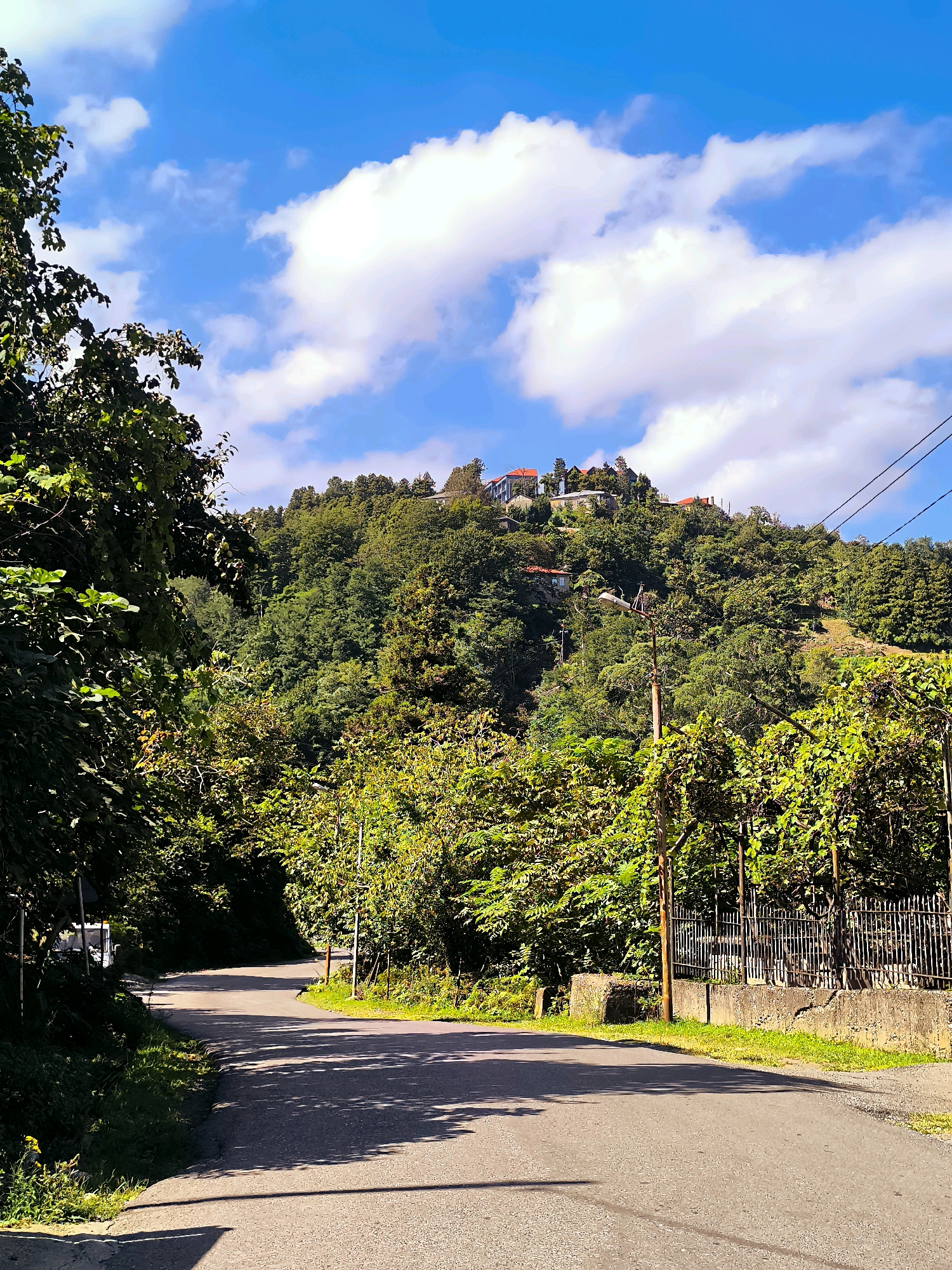 The image depicts a paved road winding through a lush, green hillside in Erge, Georgia. The road is empty of vehicles and people, with shadows cast across its surface from the surrounding trees. On the right side of the road, there is a low concrete wall topped with a metal fence, partially obscured by foliage. Further up the hill, a dense forest covers the landscape, punctuated by several buildings with red-tiled roofs, suggesting a settlement. The sky above is a vibrant blue, with scattered white clouds. Overhead power lines are visible running diagonally across the upper right portion of the image. The overall scene is one of a rural, mountainous environment under a clear sky.