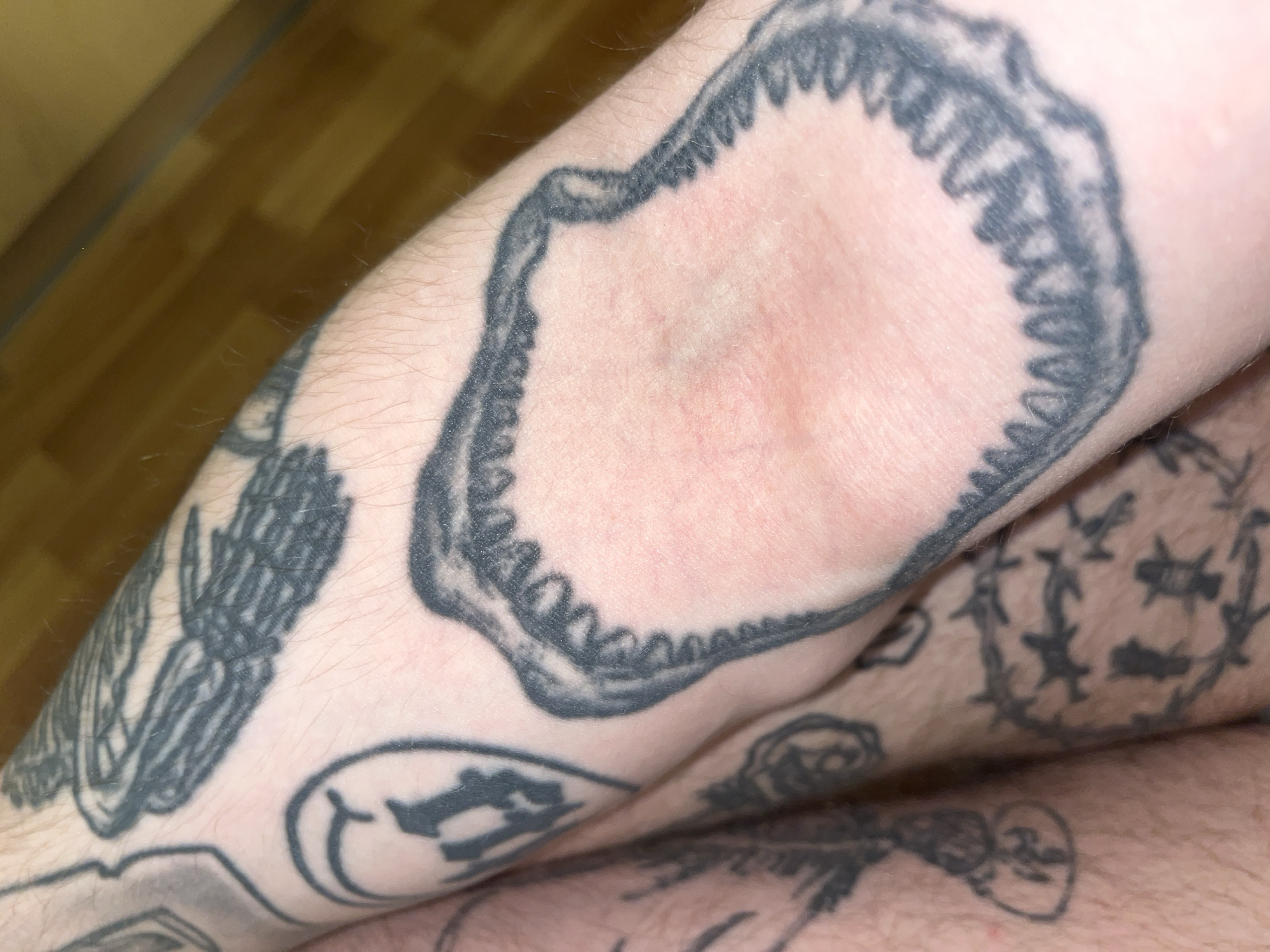 An extreme close-up shot shows a person's arm covered in tattoos. The main focus is a large tattoo of a shark's jaw with sharp teeth, rendered in black ink. The skin around the jaw tattoo appears red and slightly inflamed, suggesting it may be recently tattooed or irritated. Other tattoos are visible in the background, including what appears to be an eagle or bird, a symbol within a circle, and barbed wire designs. The background is out of focus but suggests a wooden surface, possibly furniture or flooring. The lighting is warm and appears to be artificial. The image is cropped tightly to the arm, with no wider environmental context.