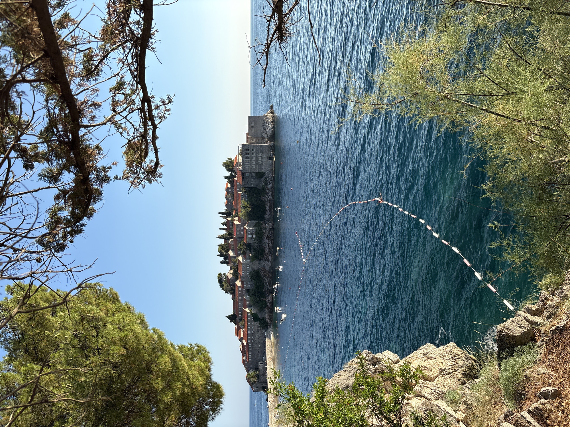The image shows a view of Sveti Stefan, a coastal fortified village and resort in Montenegro. The foreground features rocky terrain with dry grass and lush green foliage. Overhanging branches of trees frame the scene from the top and right. In the mid-ground, a picturesque island, connected to the mainland by a narrow causeway, is visible. The island is adorned with red-tiled roofs of stone buildings, and several boats are anchored in the clear blue water surrounding it. A line of buoys stretches across the water. The background consists of a clear blue sky and the calm sea. The scene appears tranquil and idyllic, likely captured on a sunny day.