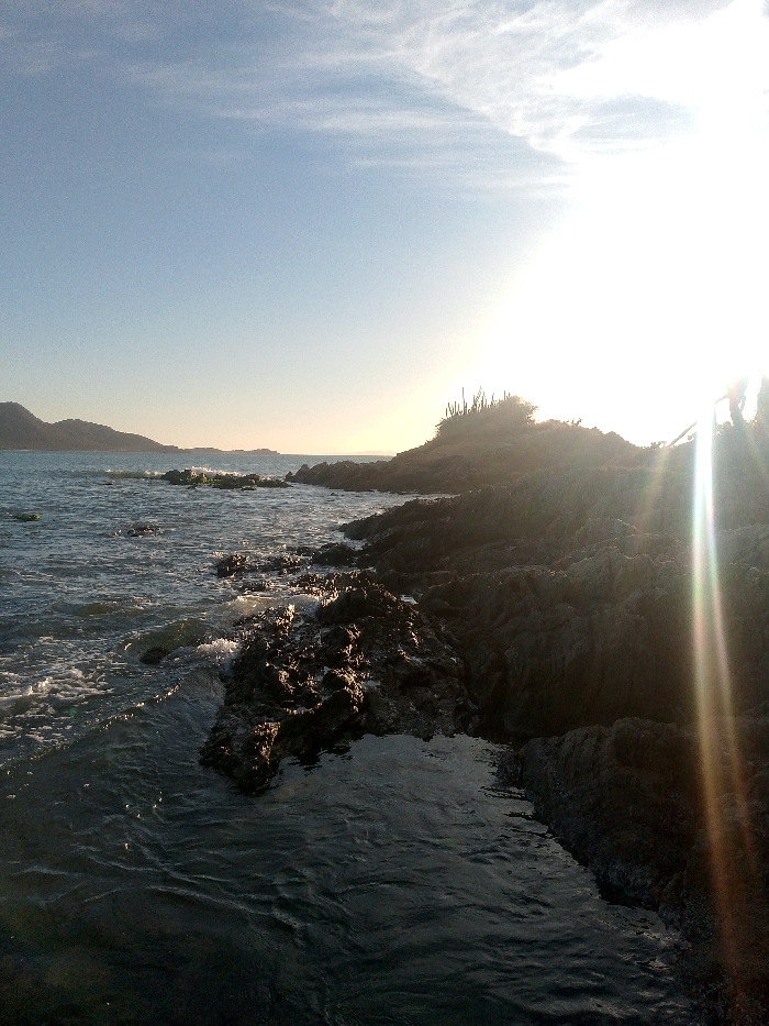 The image displays a coastal landscape in Juan Griego, Venezuela. The scene is characterized by a rocky shoreline under a clear blue sky with scattered wispy clouds. A bright, low-angle sun is positioned in the upper right, causing significant lens flare and overexposure across the right quadrant of the image.
The immediate foreground and mid-ground are dominated by dark, irregular rock formations that constitute the jagged coastline. The ocean, exhibiting dark blue-grey water with small waves and white foam, interacts with these rocks. Patches of green vegetation or algae are discernible on some submerged rock surfaces further from the immediate foreground.
On the right side of the frame, an elevated rocky outcrop is visible, partially obscured by the sun's glare. This elevated landmass supports several tall, columnar cacti and other low-lying scrub vegetation. In the far left background, distant hills or mountains are silhouetted against the horizon. No human subjects, animals, or prominent artificial structures are identifiable within the frame. The water exhibits surface ripples and foam generated by wave action against the shore.